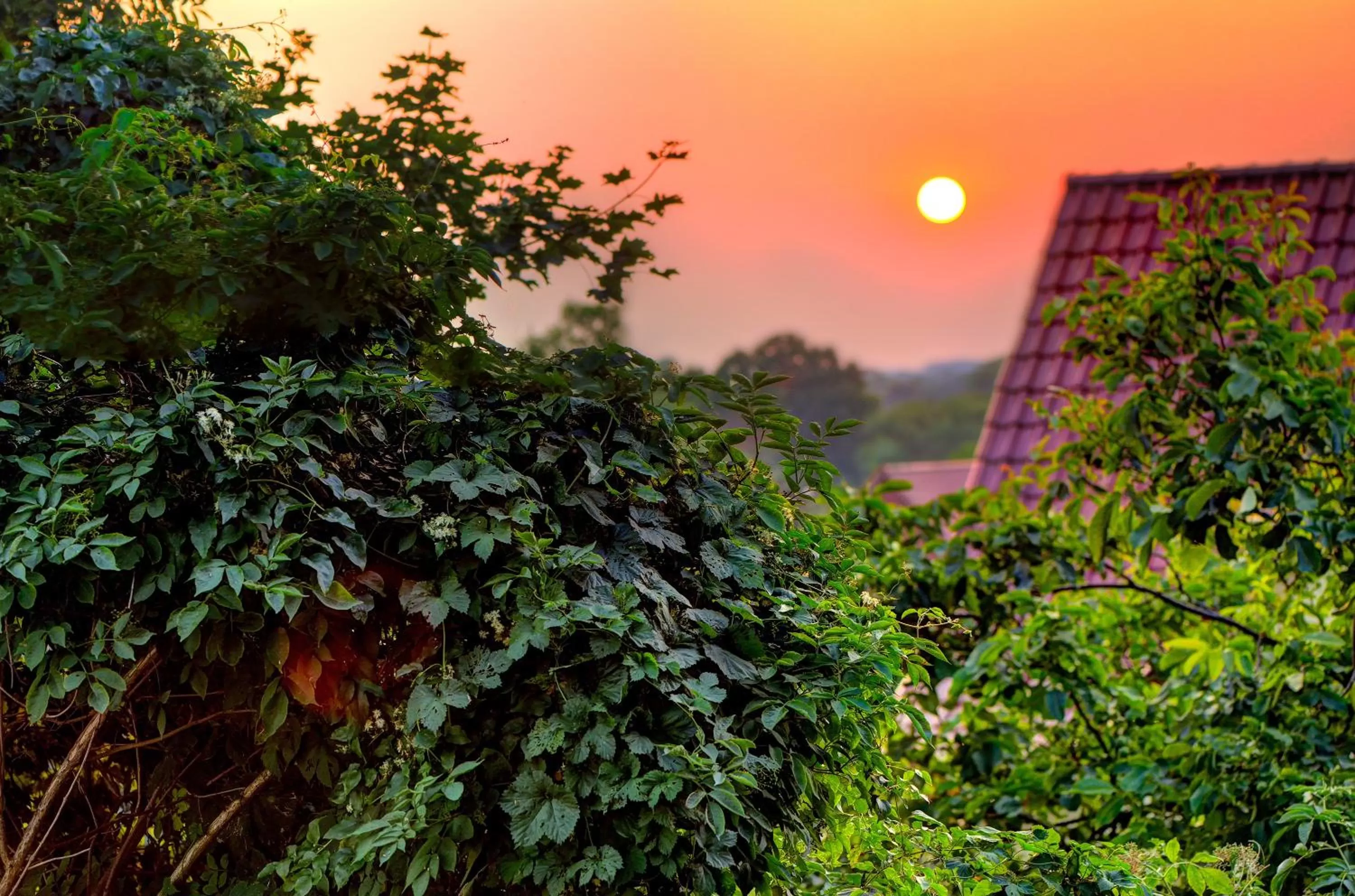 View (from property/room) in ARTHOTEL Kiebitzberg