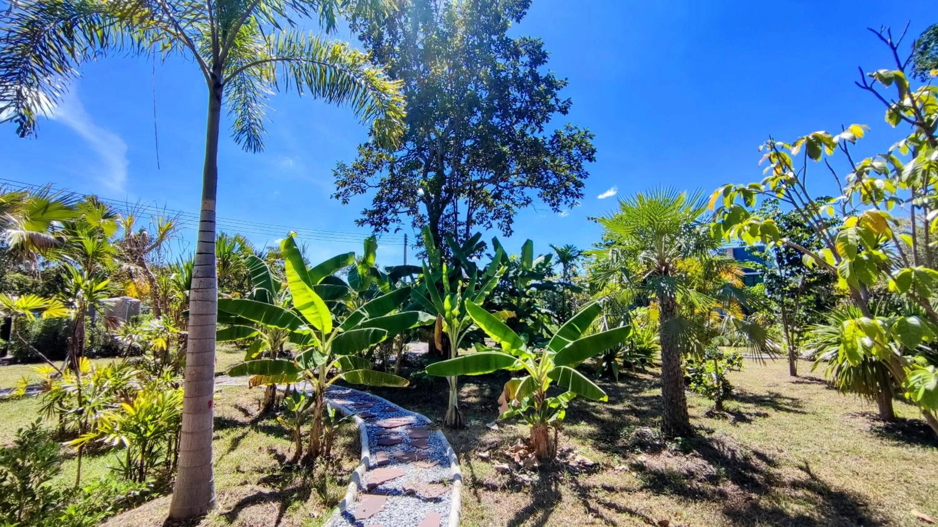 Garden in Isan Golf & Adventure Hotel