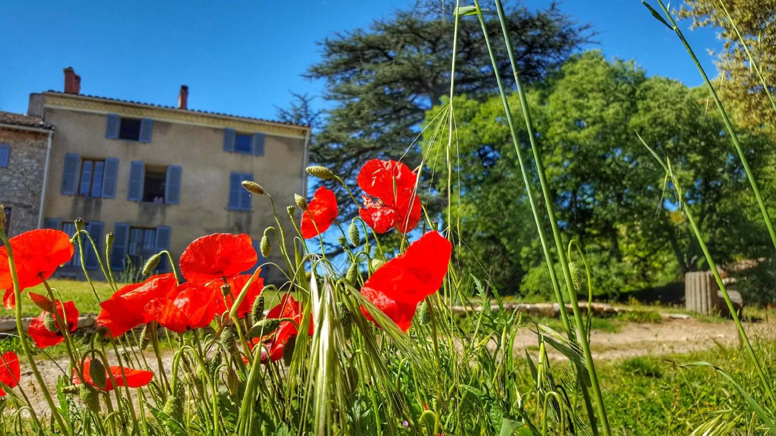 Garden view in Le Domaine Saint Martin