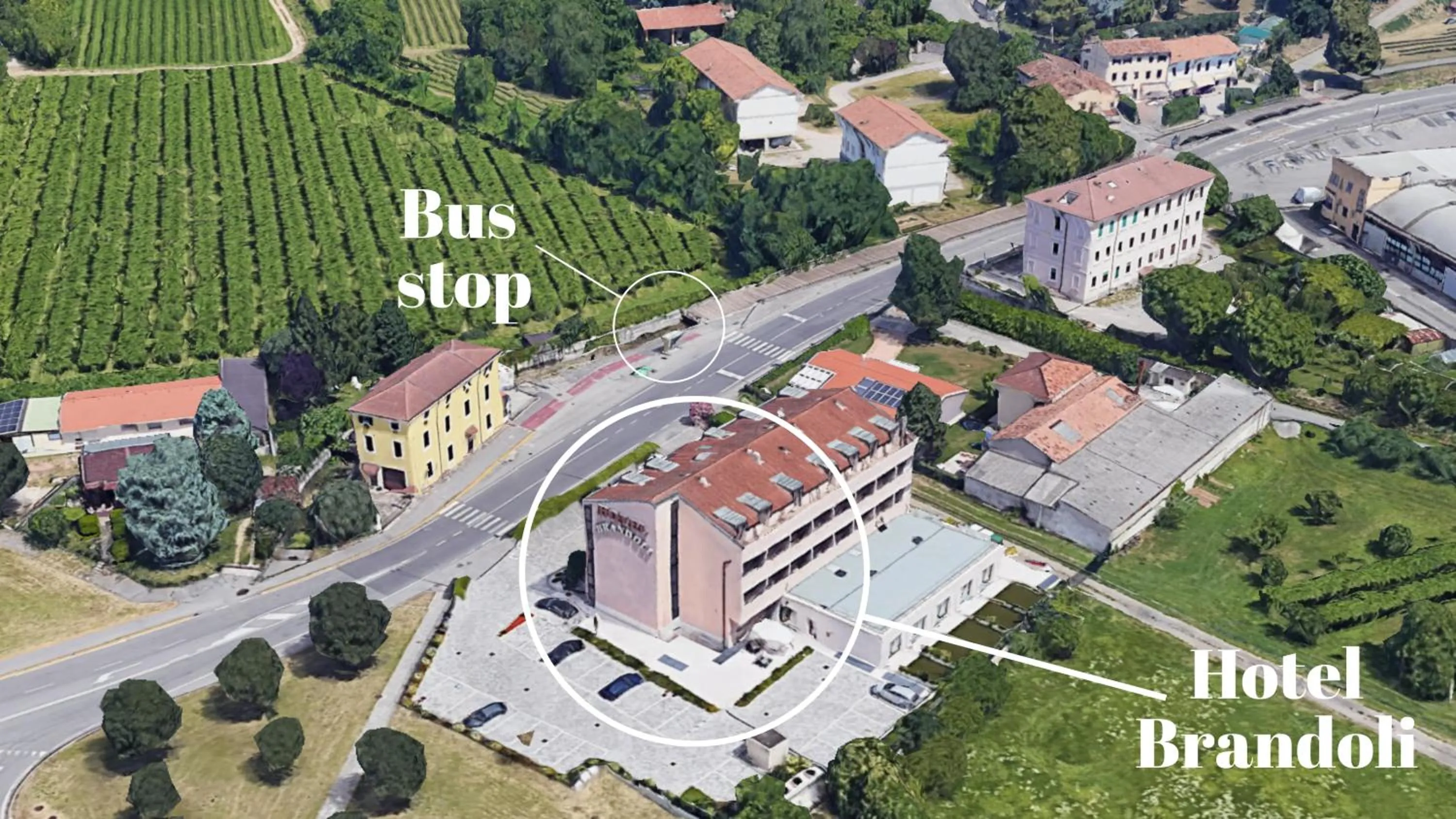 Bird's eye view in Hotel Brandoli