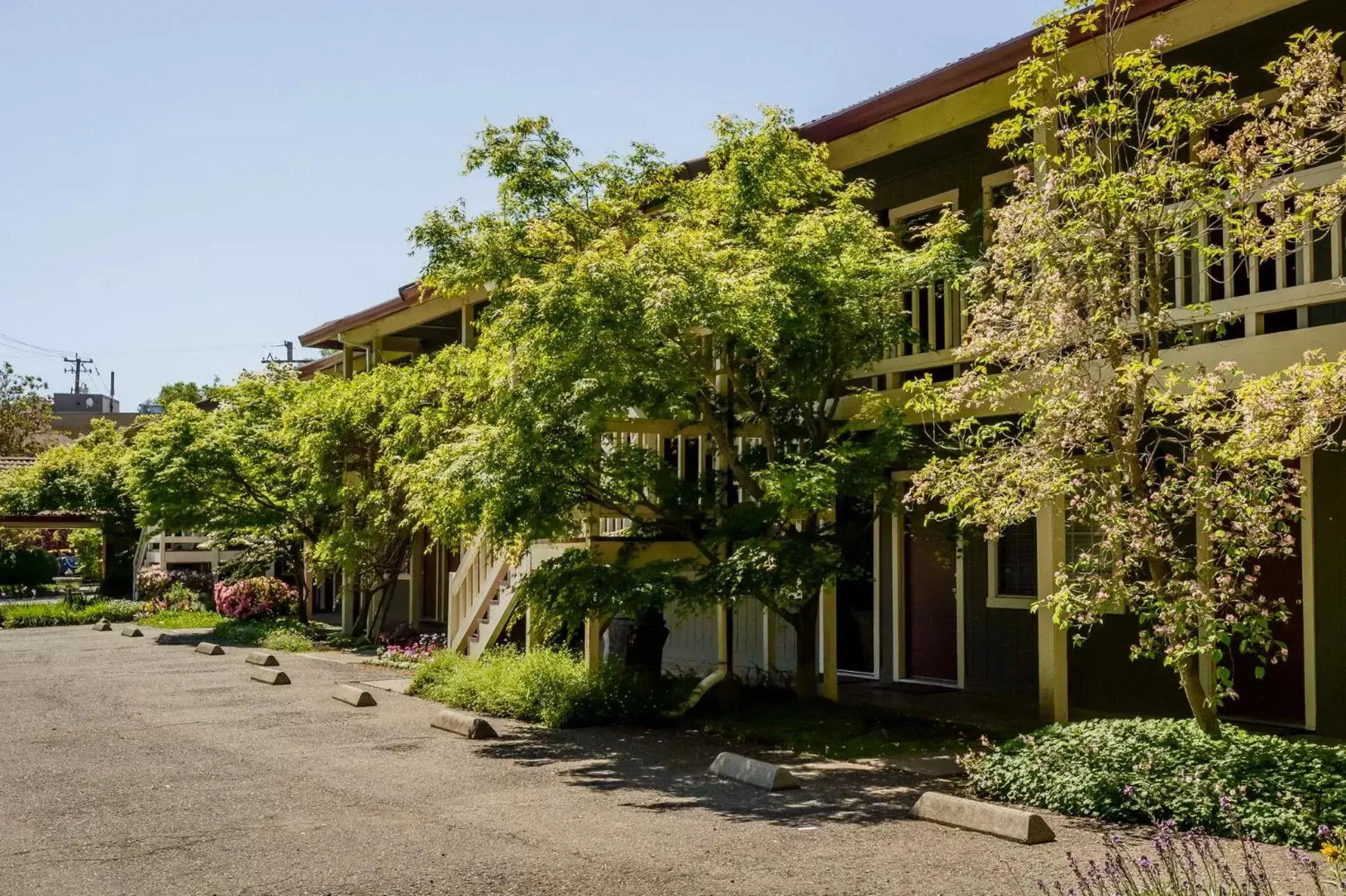 Facade/entrance, Property Building in The Jack London Lodge