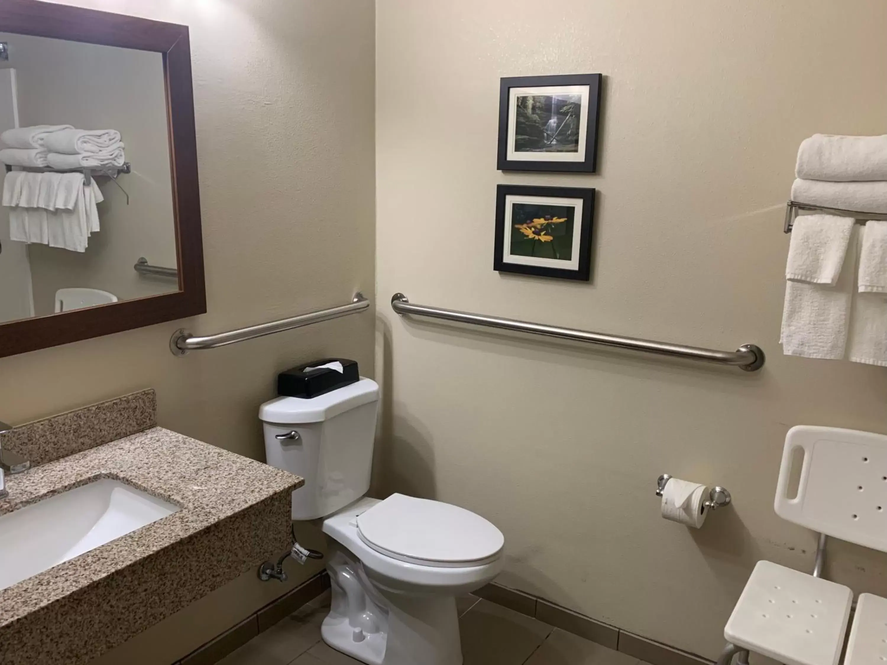 Bathroom in Comfort Suites Peoria I-74