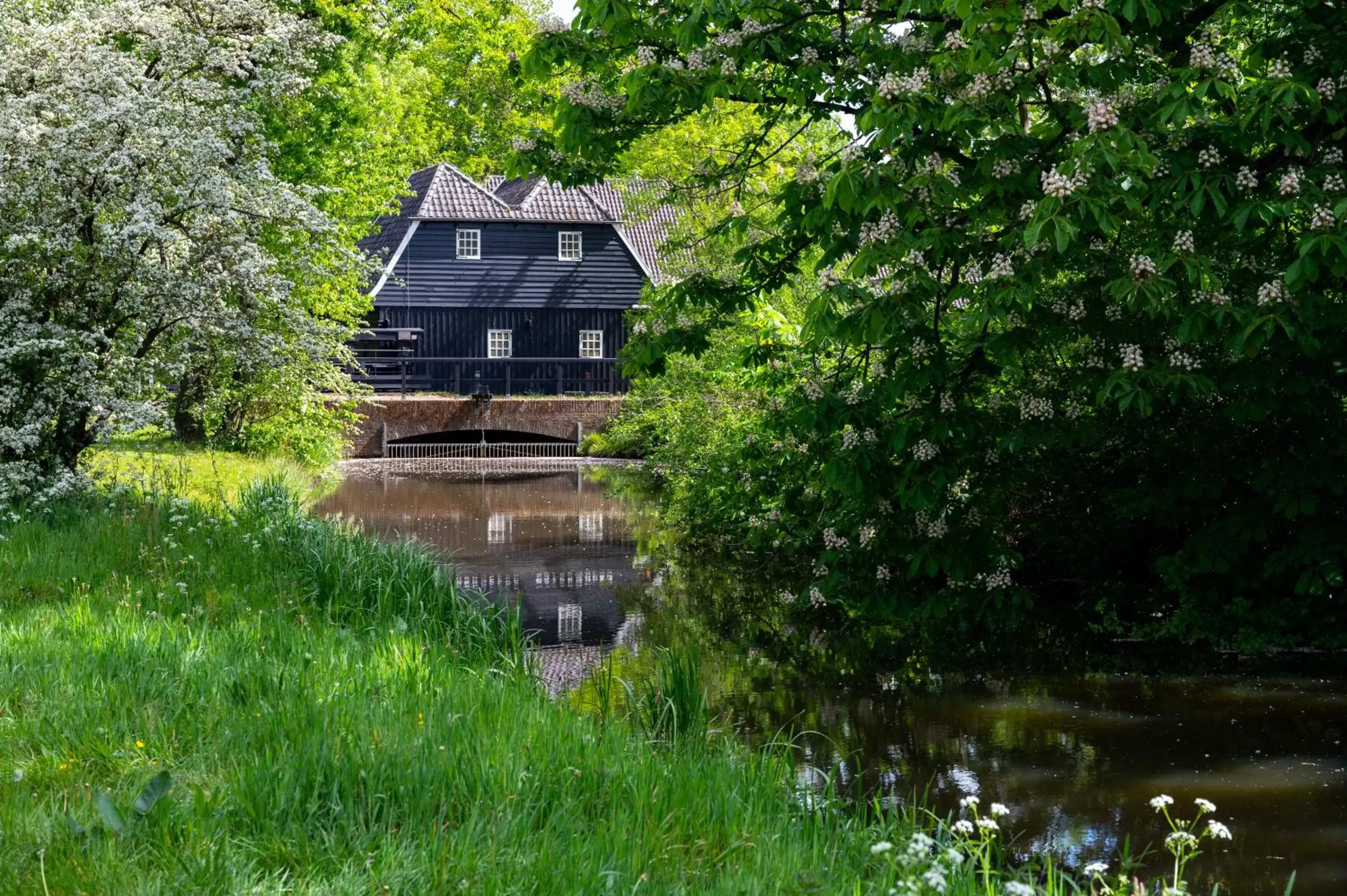 Natural landscape in Van der Valk Hotel Eindhoven