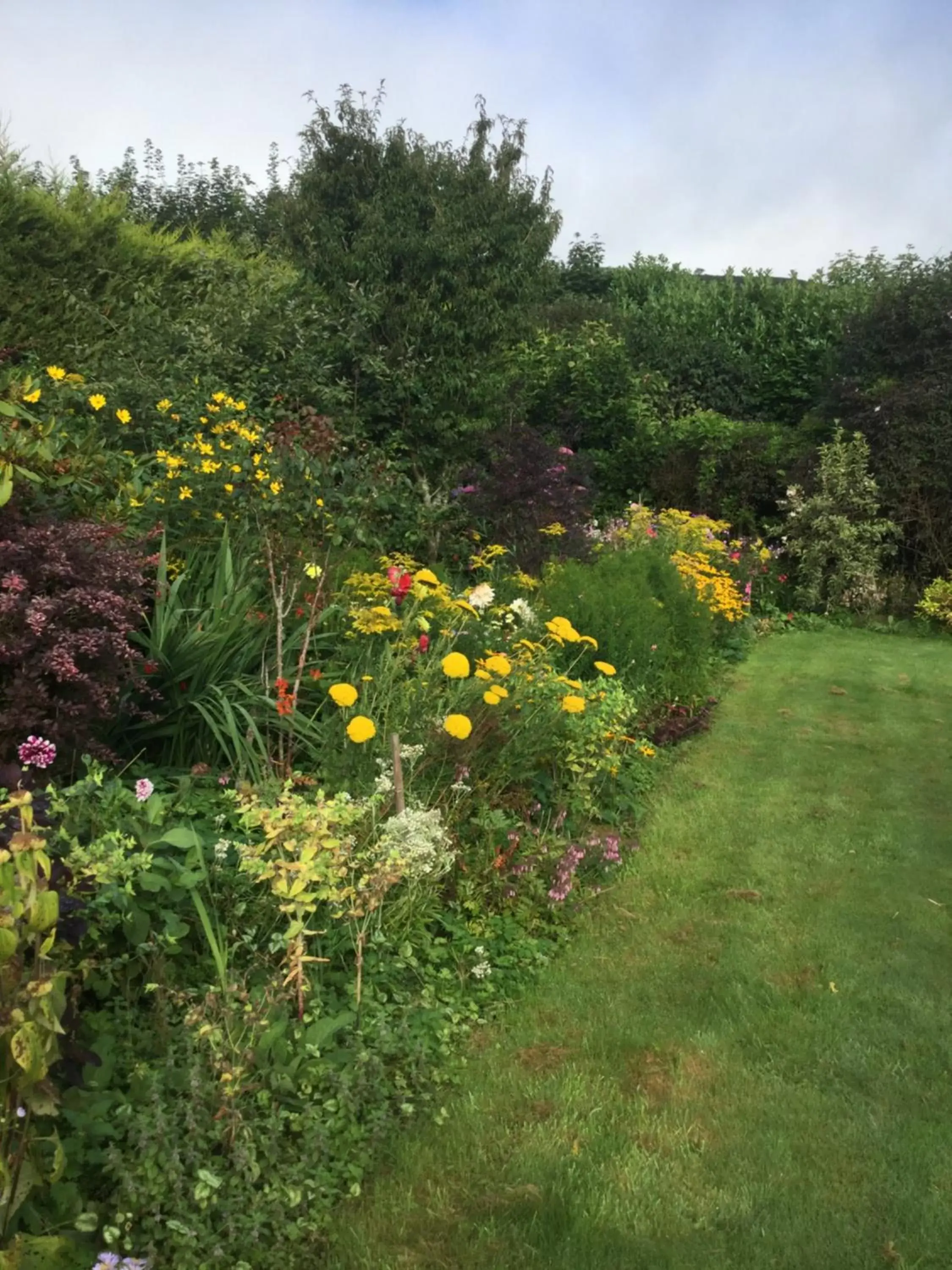 Garden in Corndonford farm