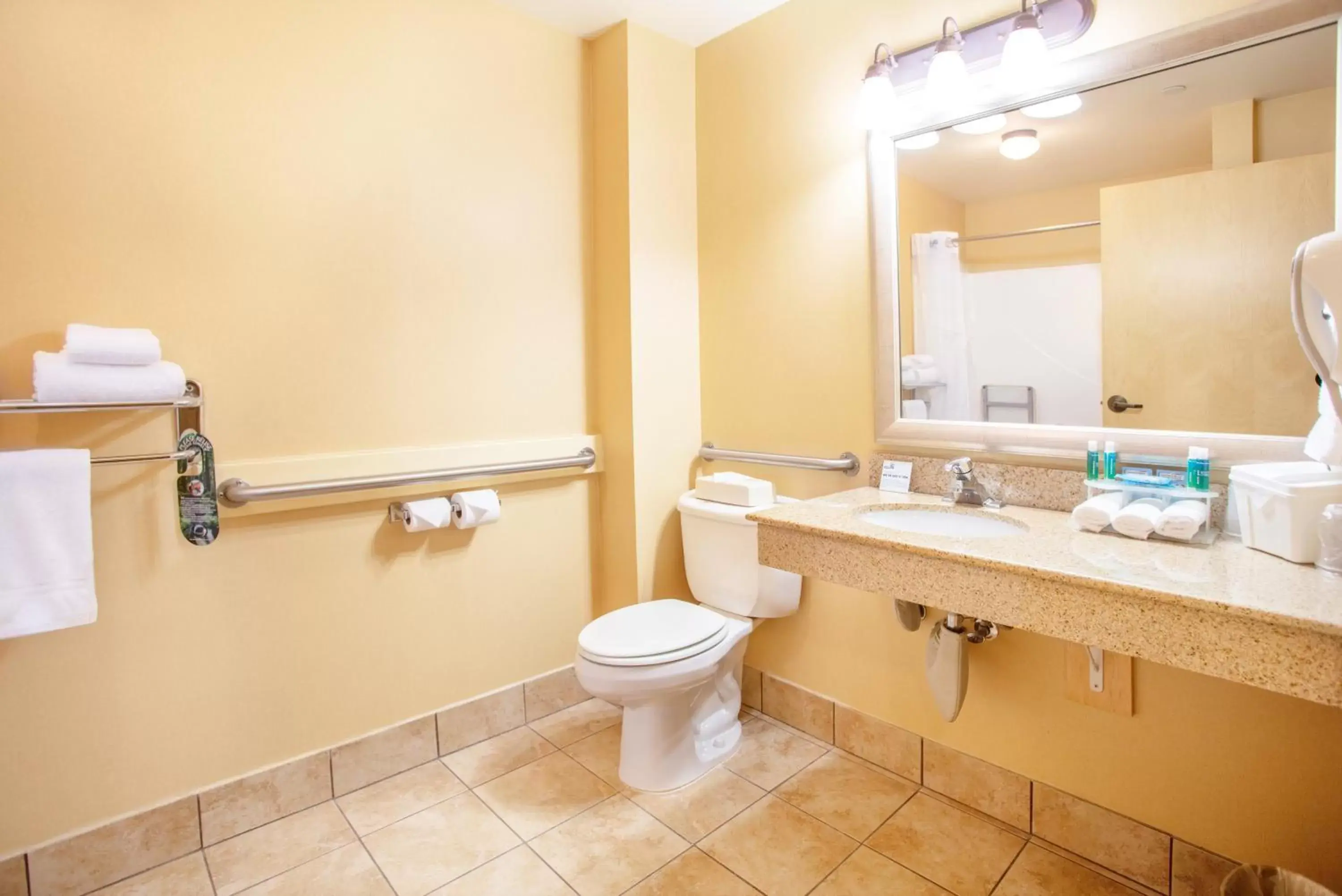 Bathroom in Holiday Inn Express Hotel & Suites Richland