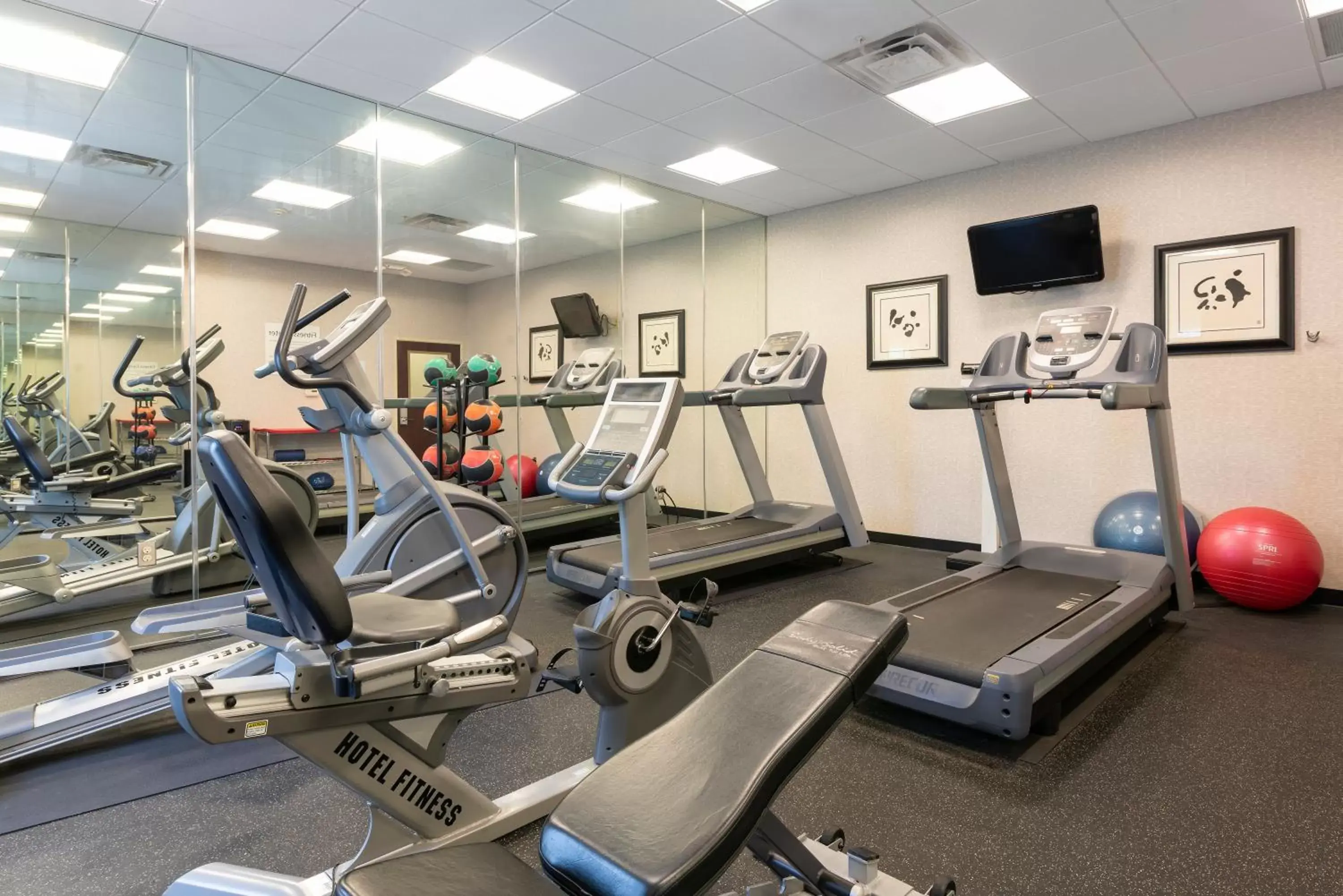 Spa and wellness centre/facilities, Fitness Center/Facilities in Holiday Inn Express & Suites - New Philadelphia Southwest, an IHG Hotel