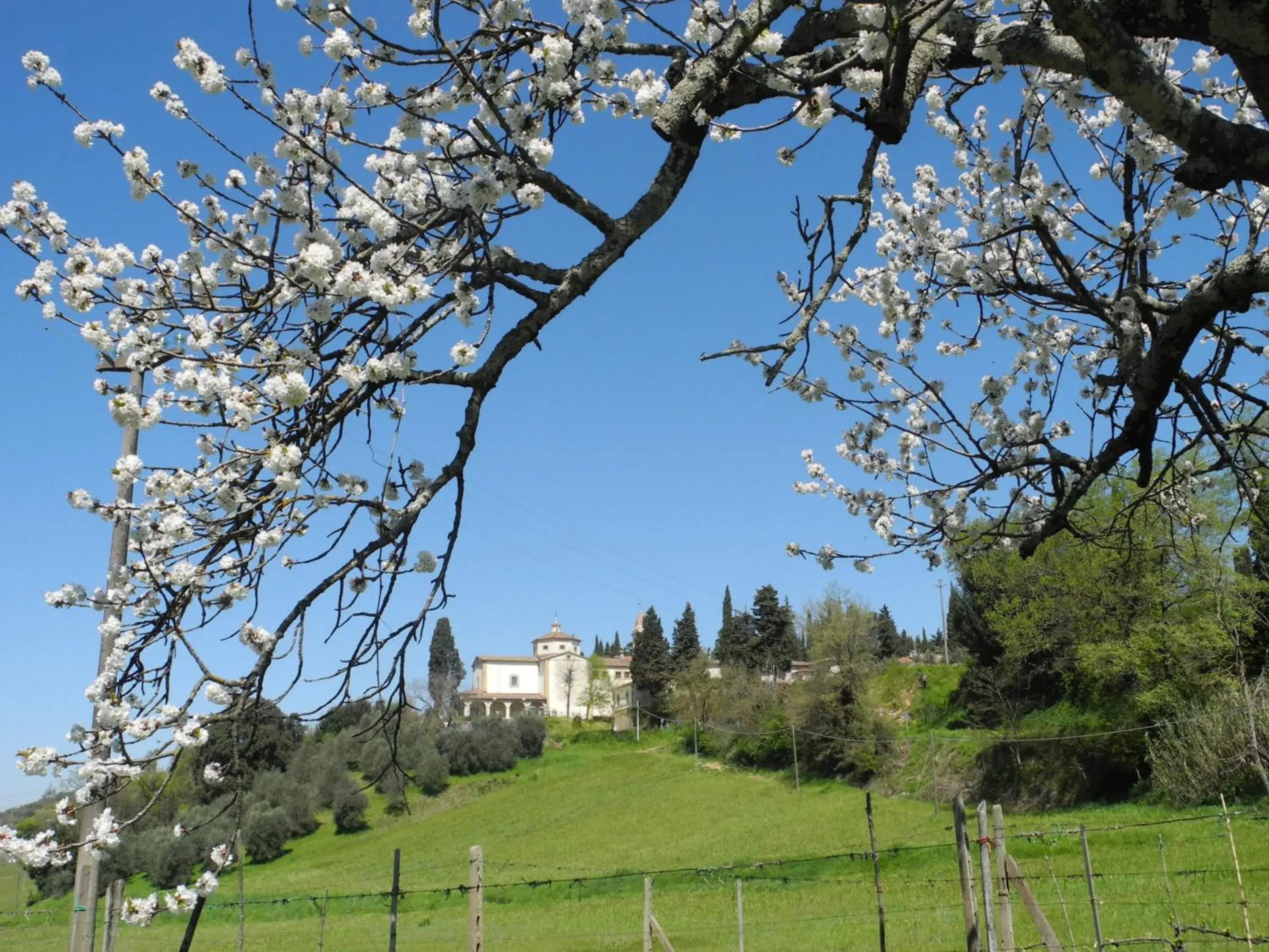 On site, Property Building in Hotel Le Renaie