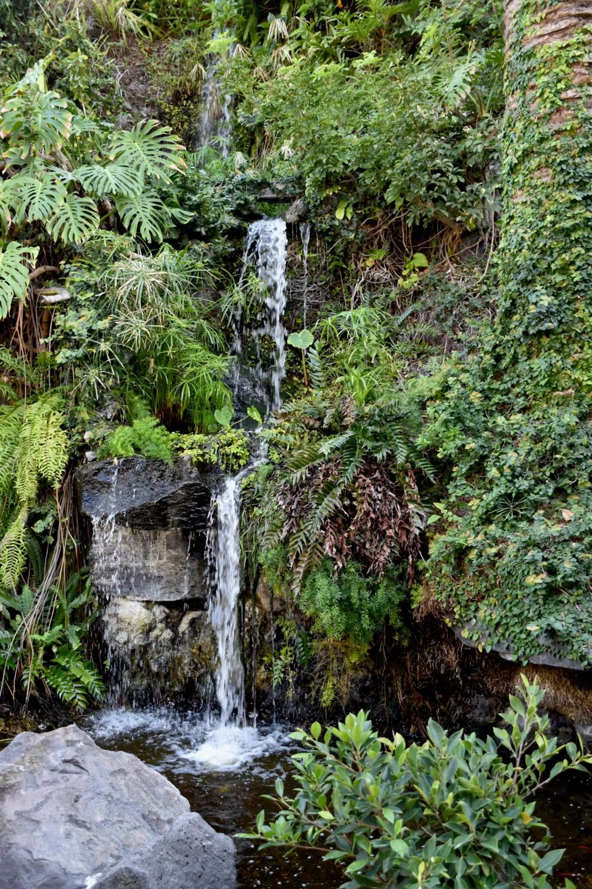 Nearby landmark in FERGUS Puerto de la Cruz