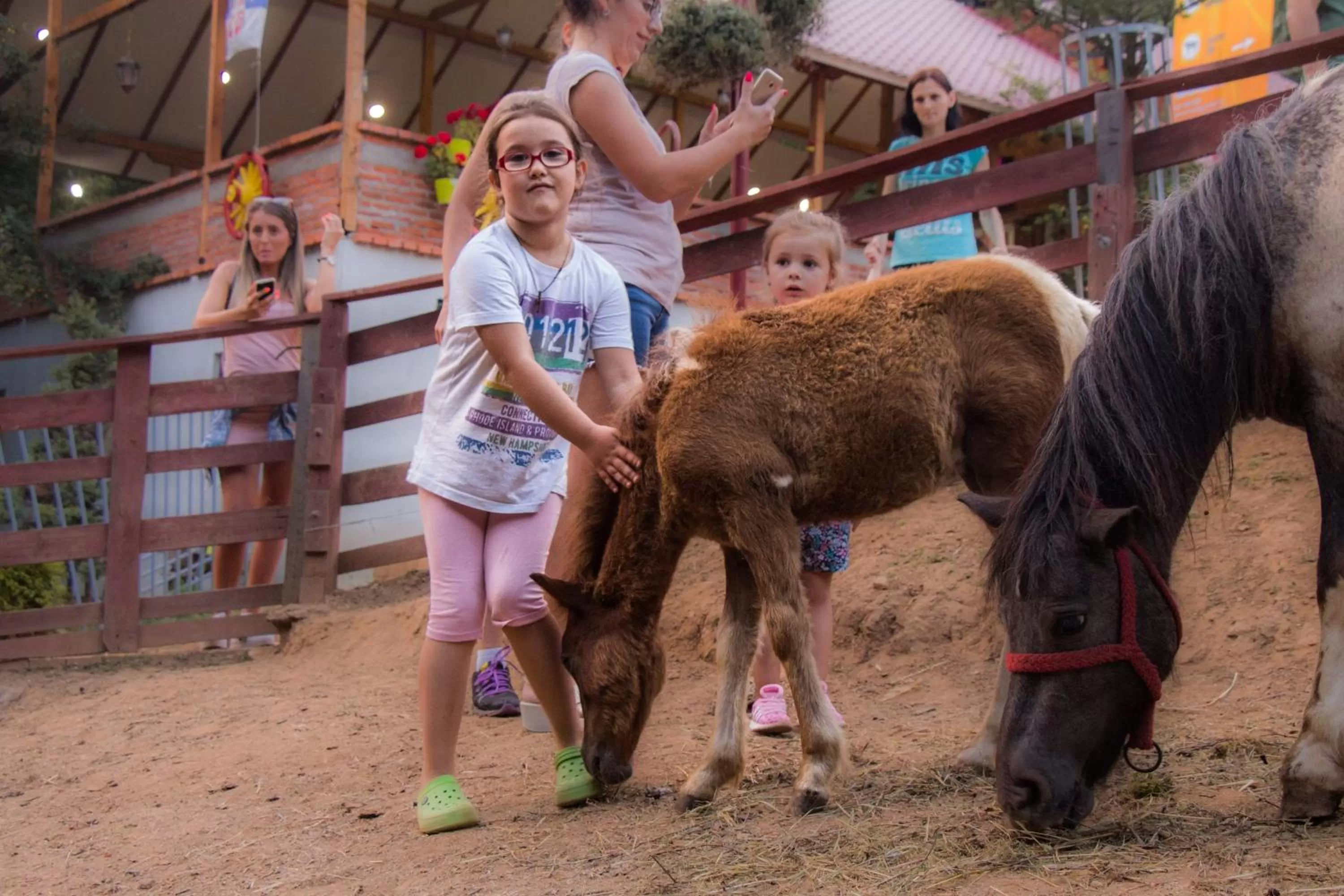 Animals in Etno selo Vile Jefimija, selo Preobrazenje, Vranje