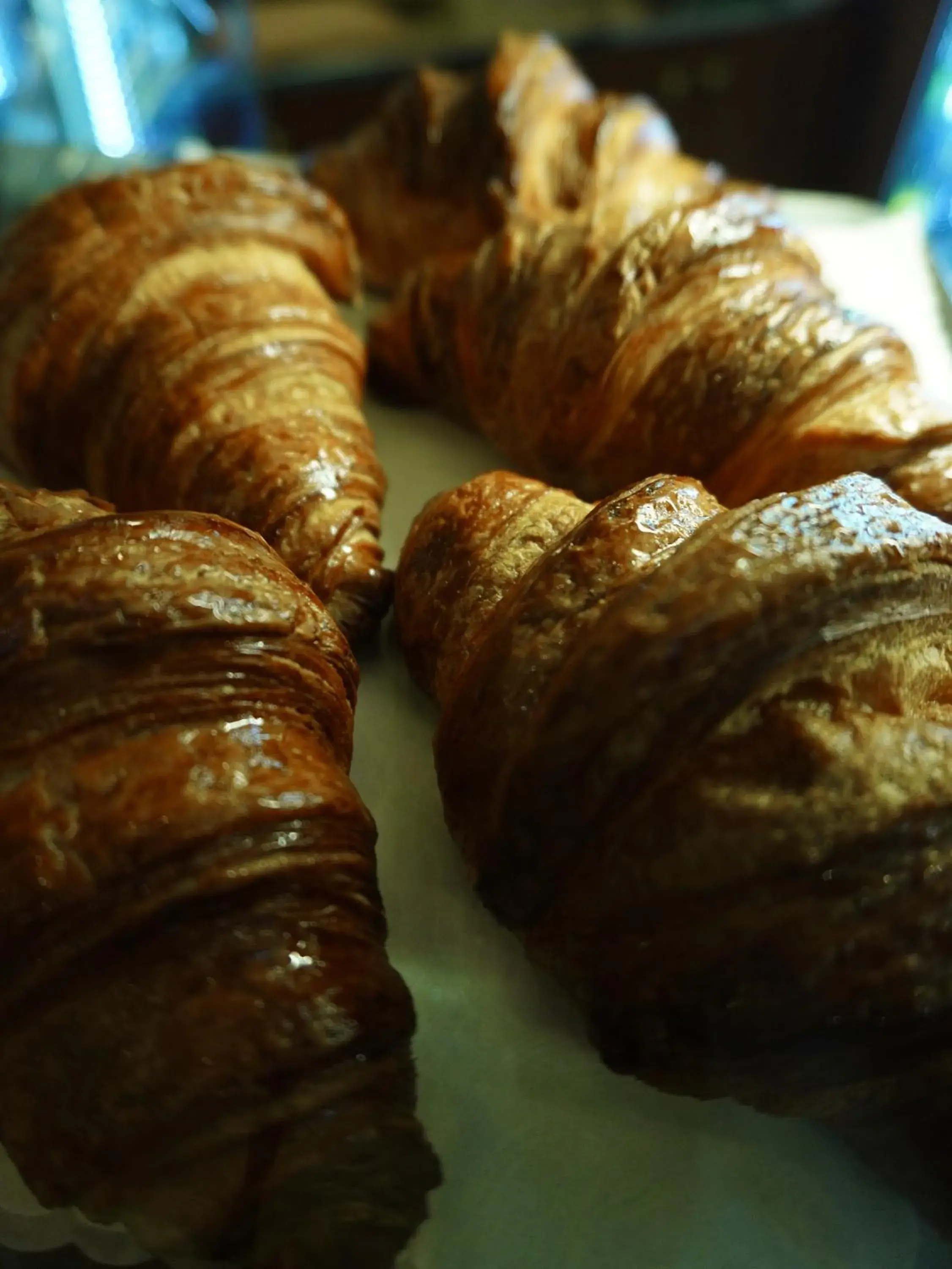 Breakfast, Food in Hotel Classensis