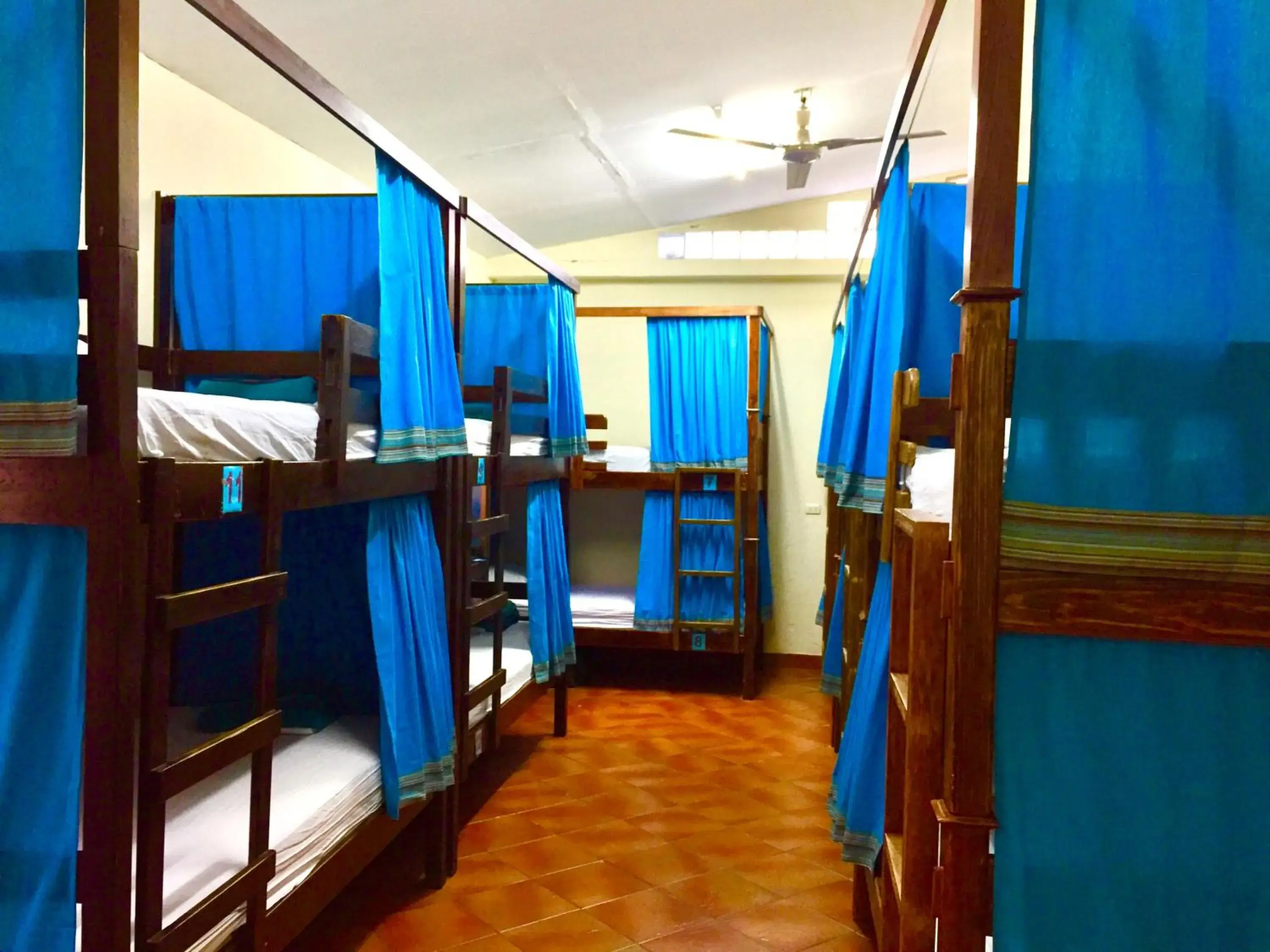 Bunk Bed in Hostal Antigua