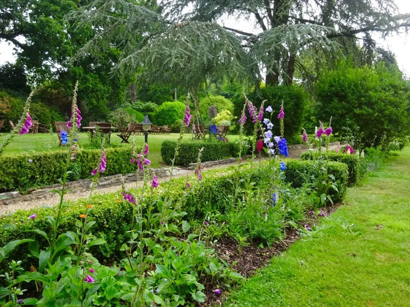 Garden in Passford House Hotel