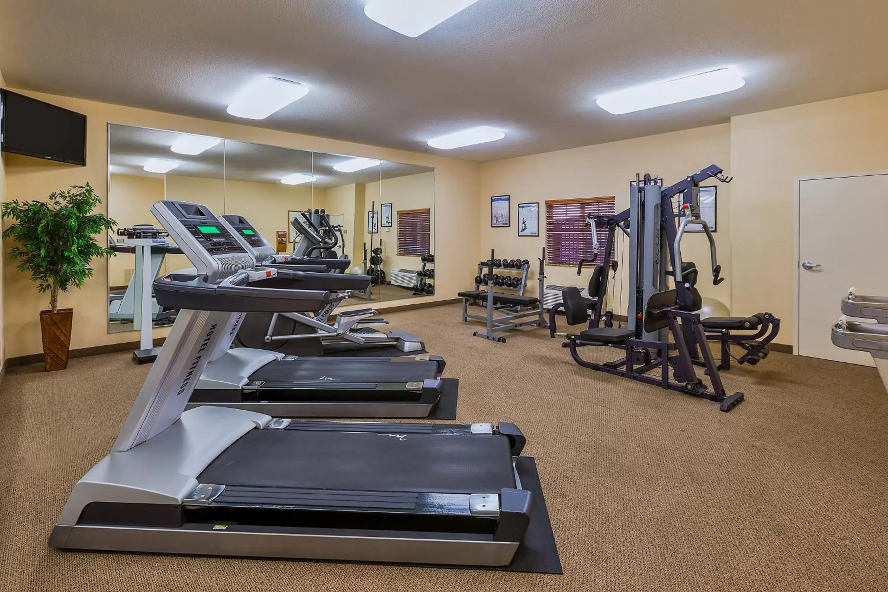 Spa and wellness centre/facilities, Fitness Center/Facilities in Candlewood Suites Decatur Medical Center, an IHG Hotel