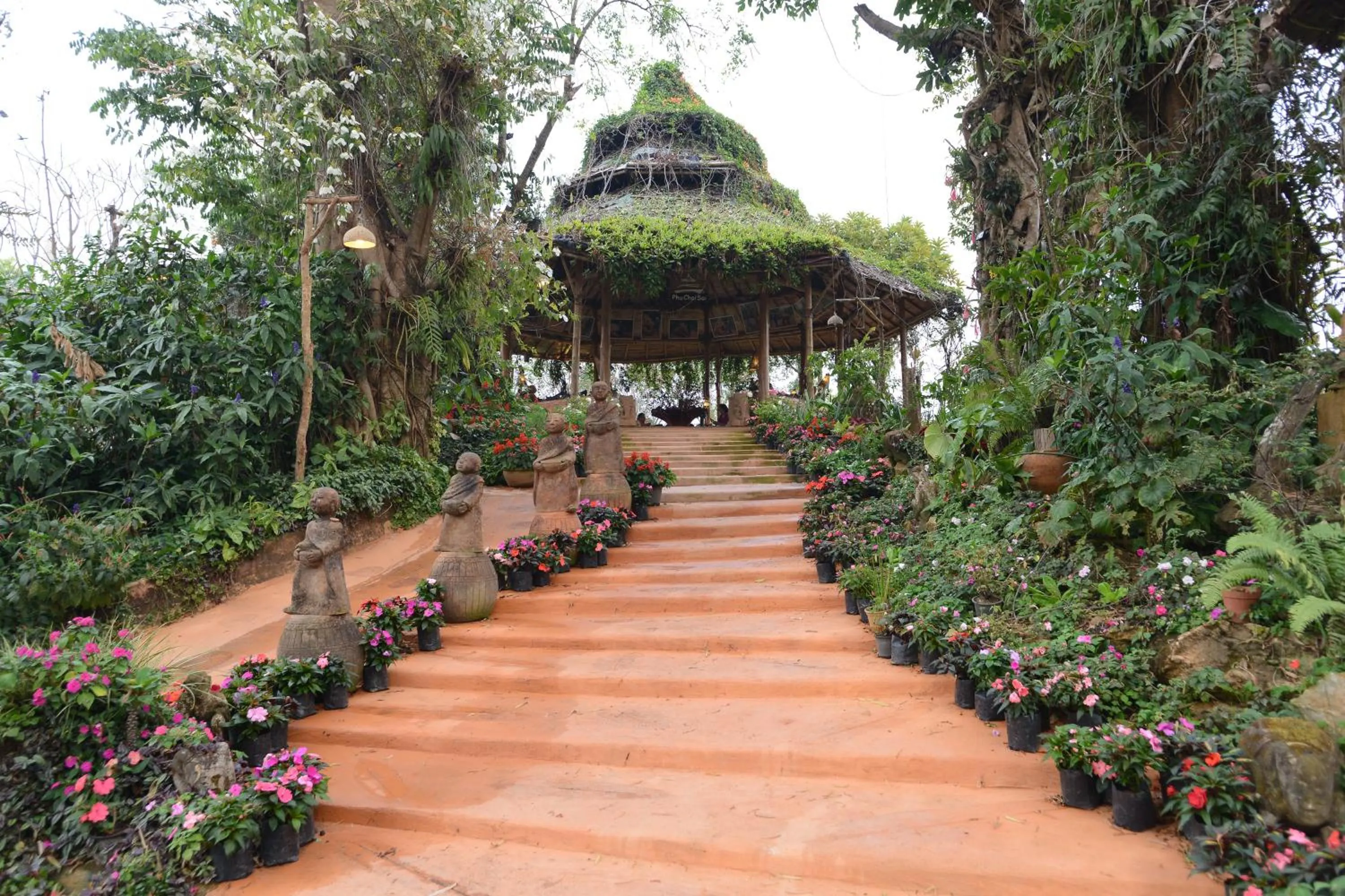 Lobby or reception in Phu Chaisai Chiang Rai Mountain Resort