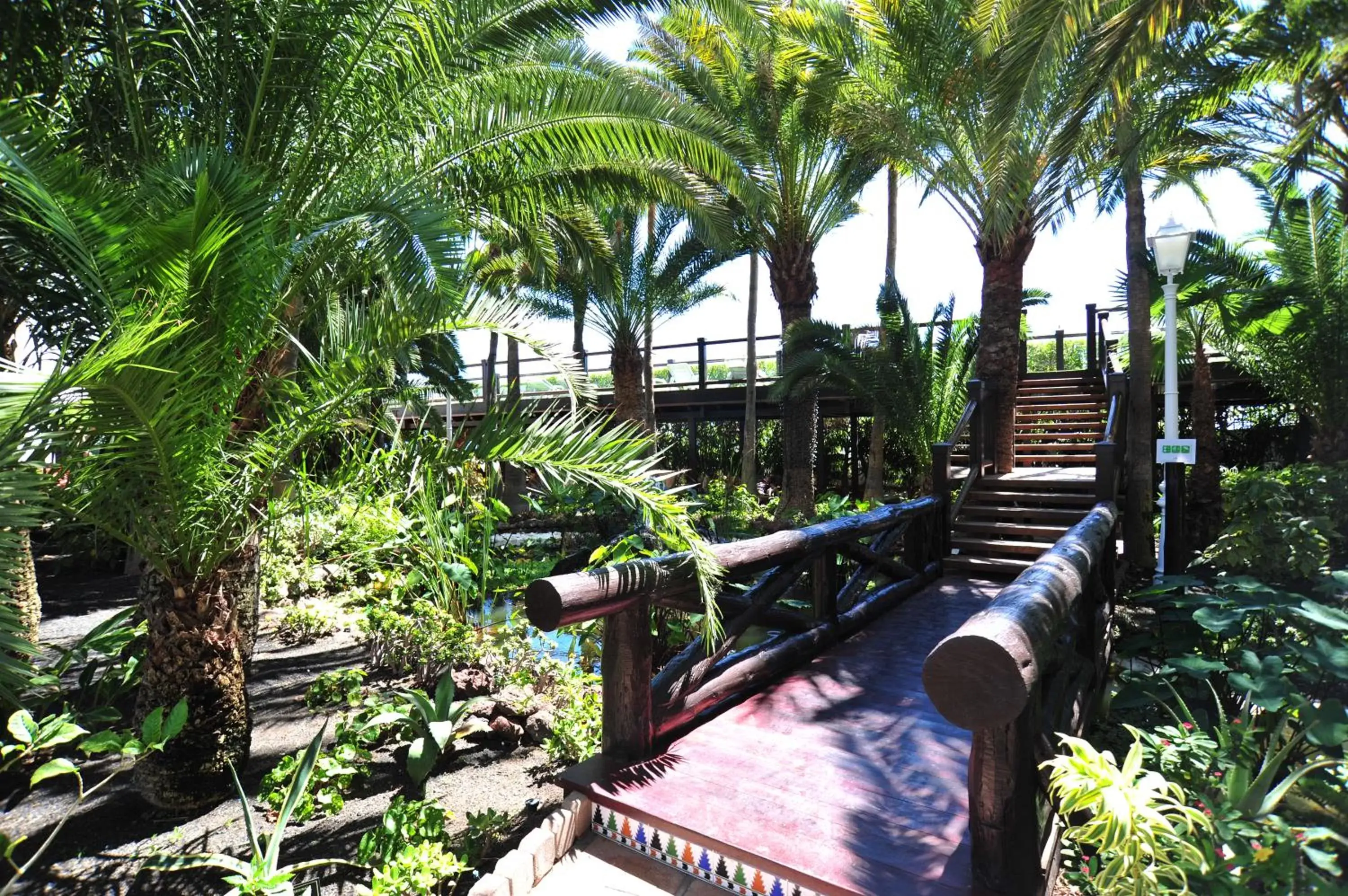 Solarium in Hotel Parque Tropical