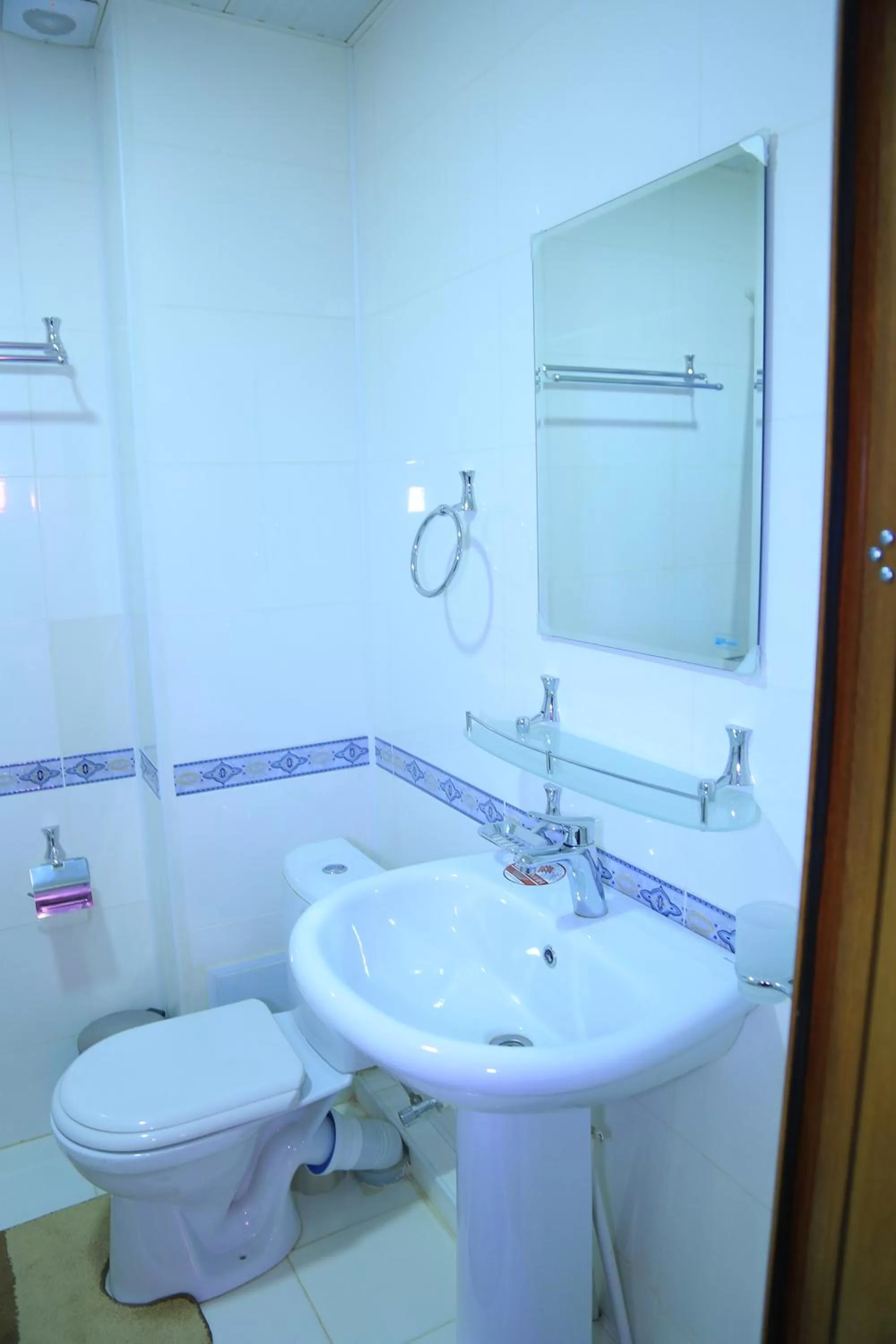 Toilet in Alliance hotel bukhara