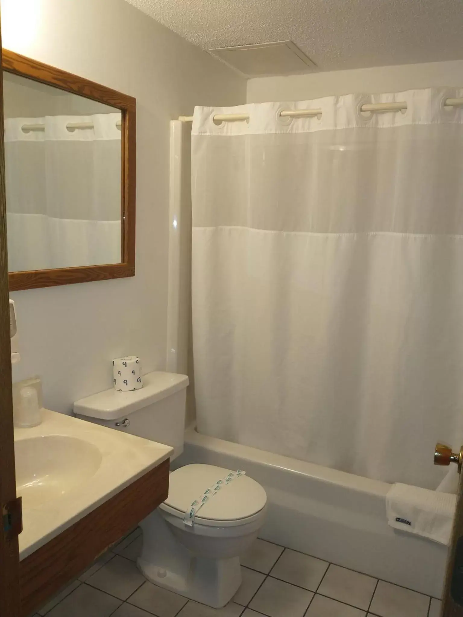 Bathroom in Americas Best Value Inn Sauk Centre