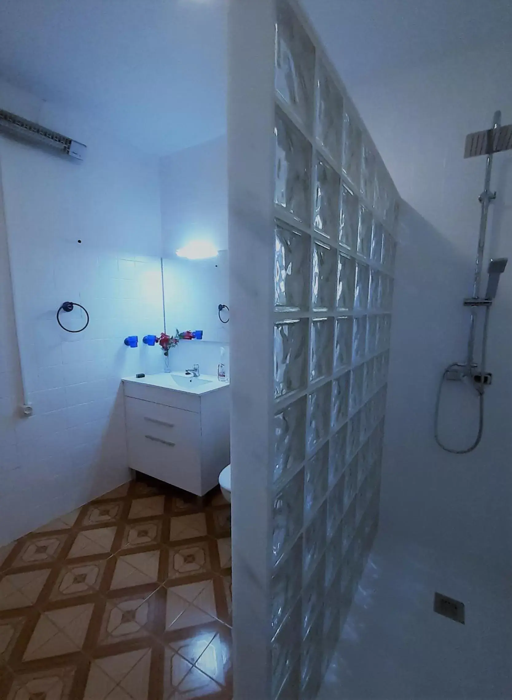 Shower, Bathroom in Casa Loro Loco B&B