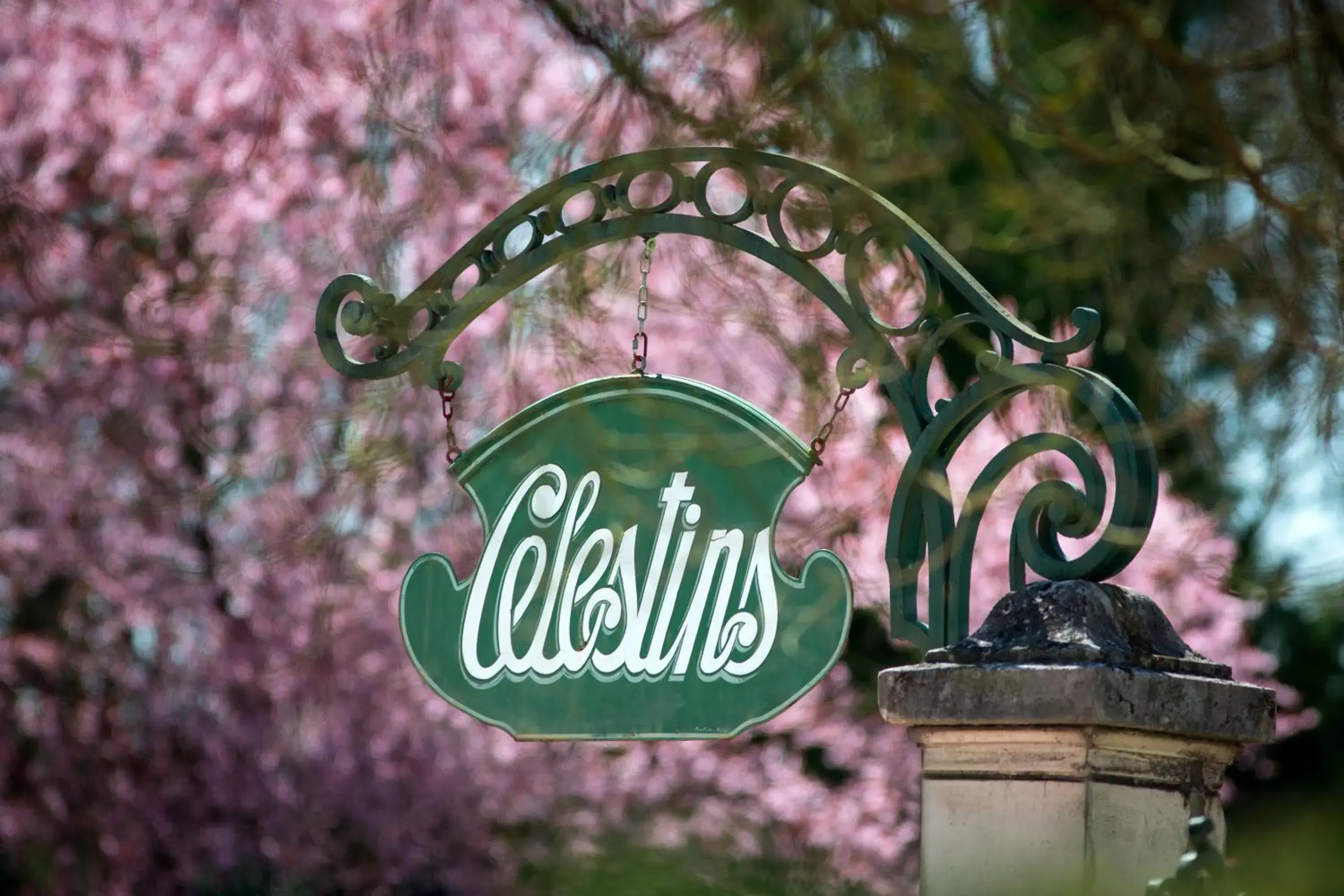 Garden, Property Logo/Sign in Vichy Spa Hotel Les Celestins