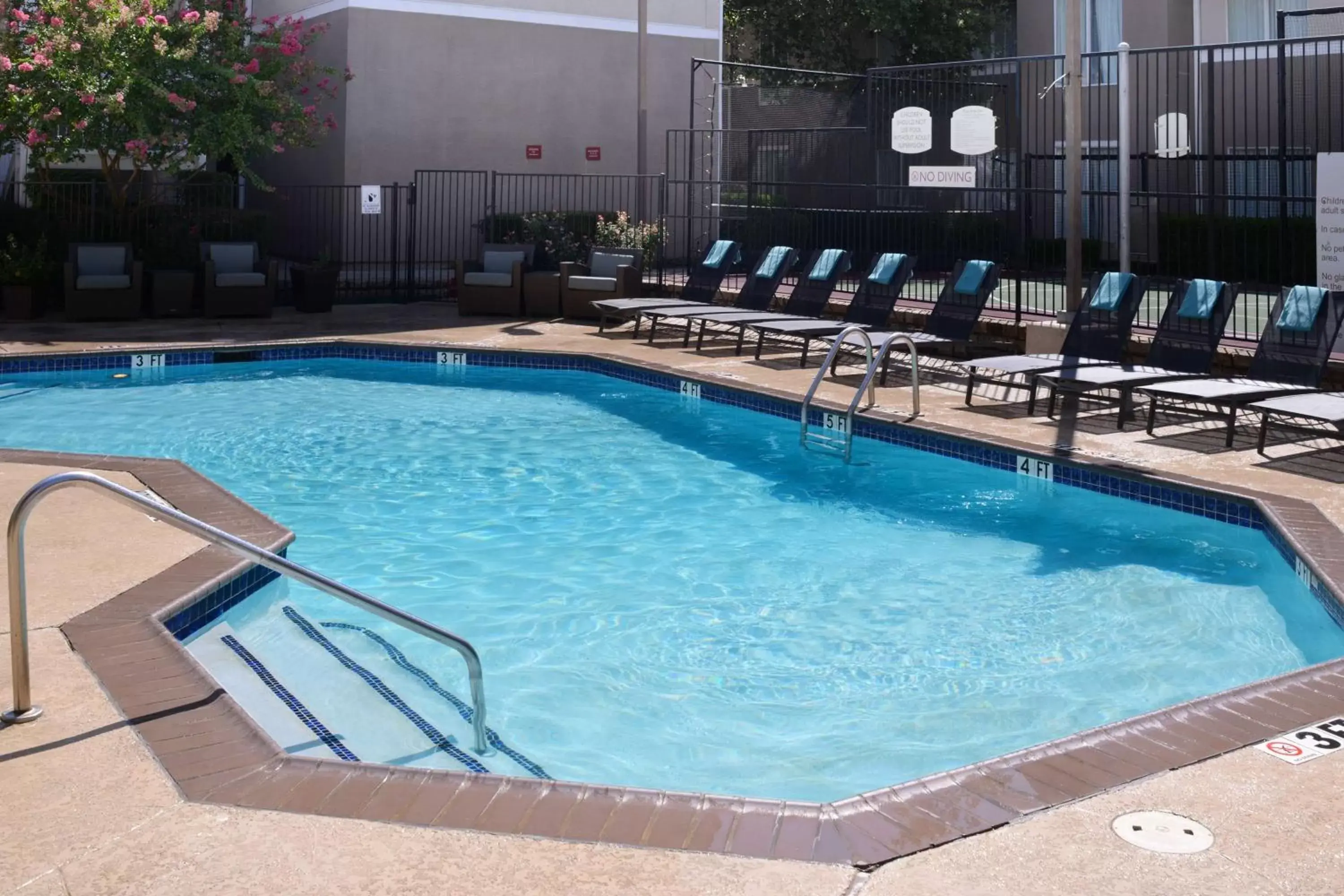 Activities, Swimming Pool in Sonesta ES Suites Dallas Medical Market Center