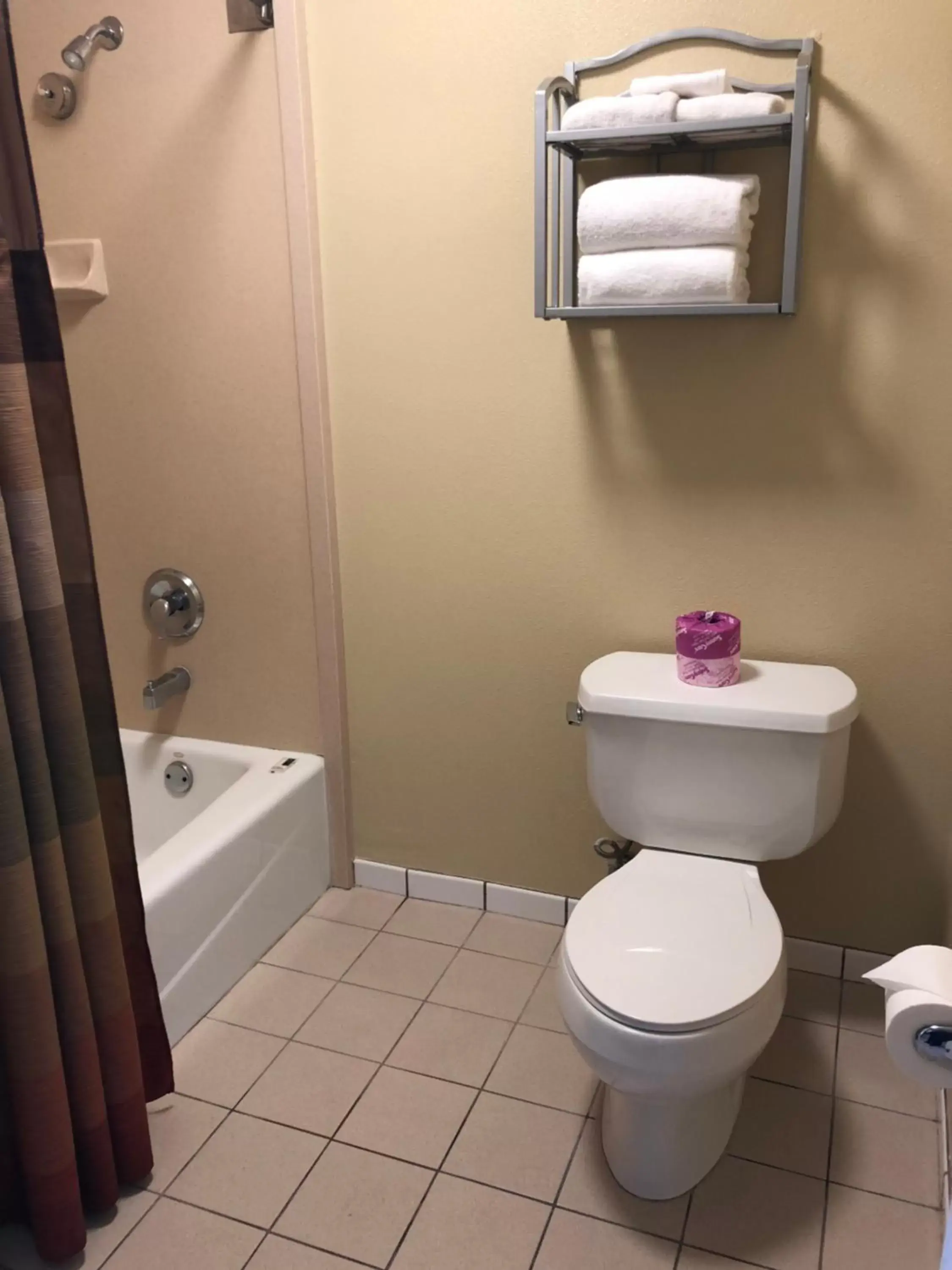 Toilet, Bathroom in Gateway Inn and Suites San Francisco SFO Airport