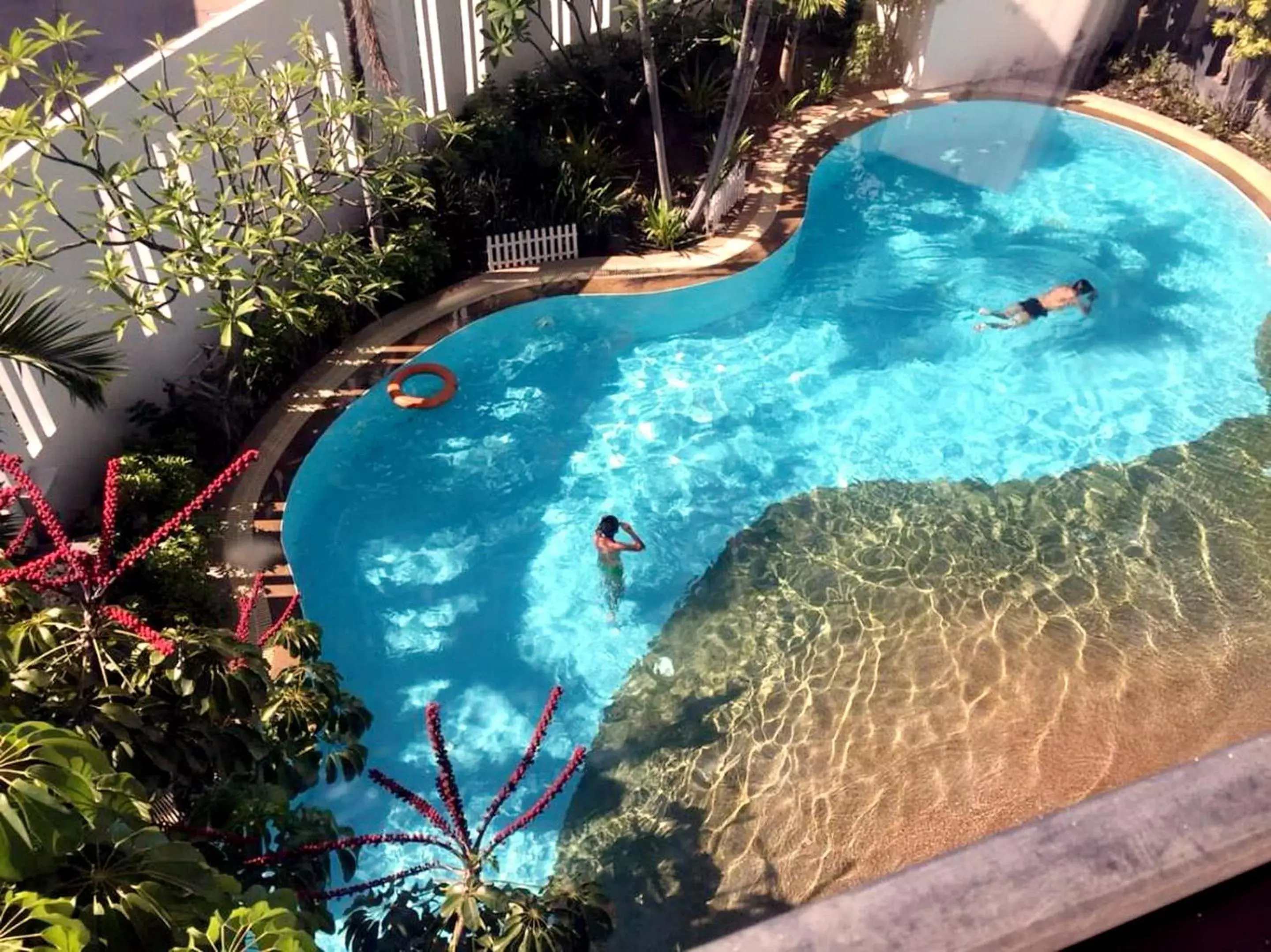 Swimming pool, Pool View in Fortune Hotel Korat- SHA Plus