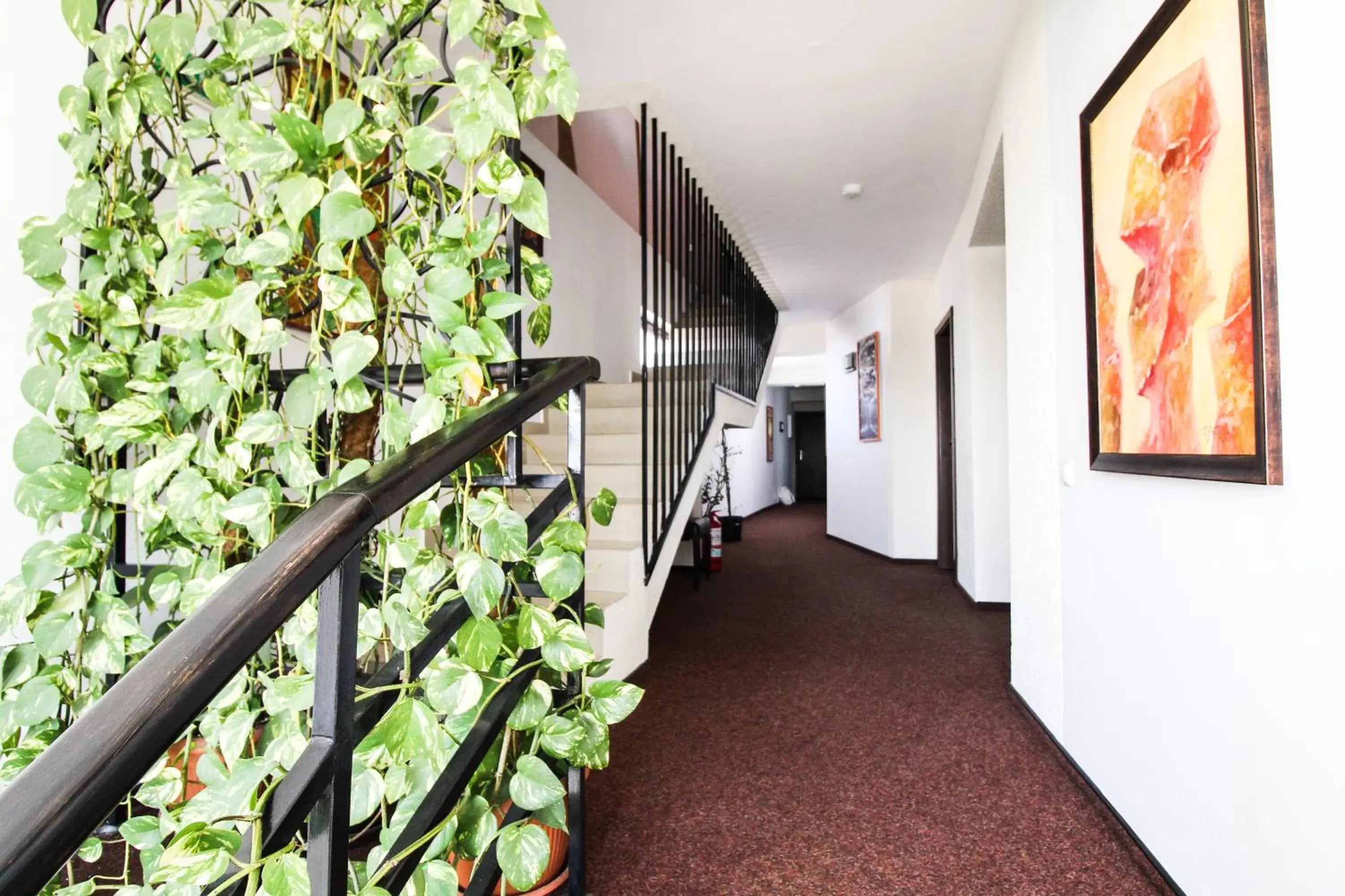 Property building in Hotel Razvan Property building in Hotel Razvan