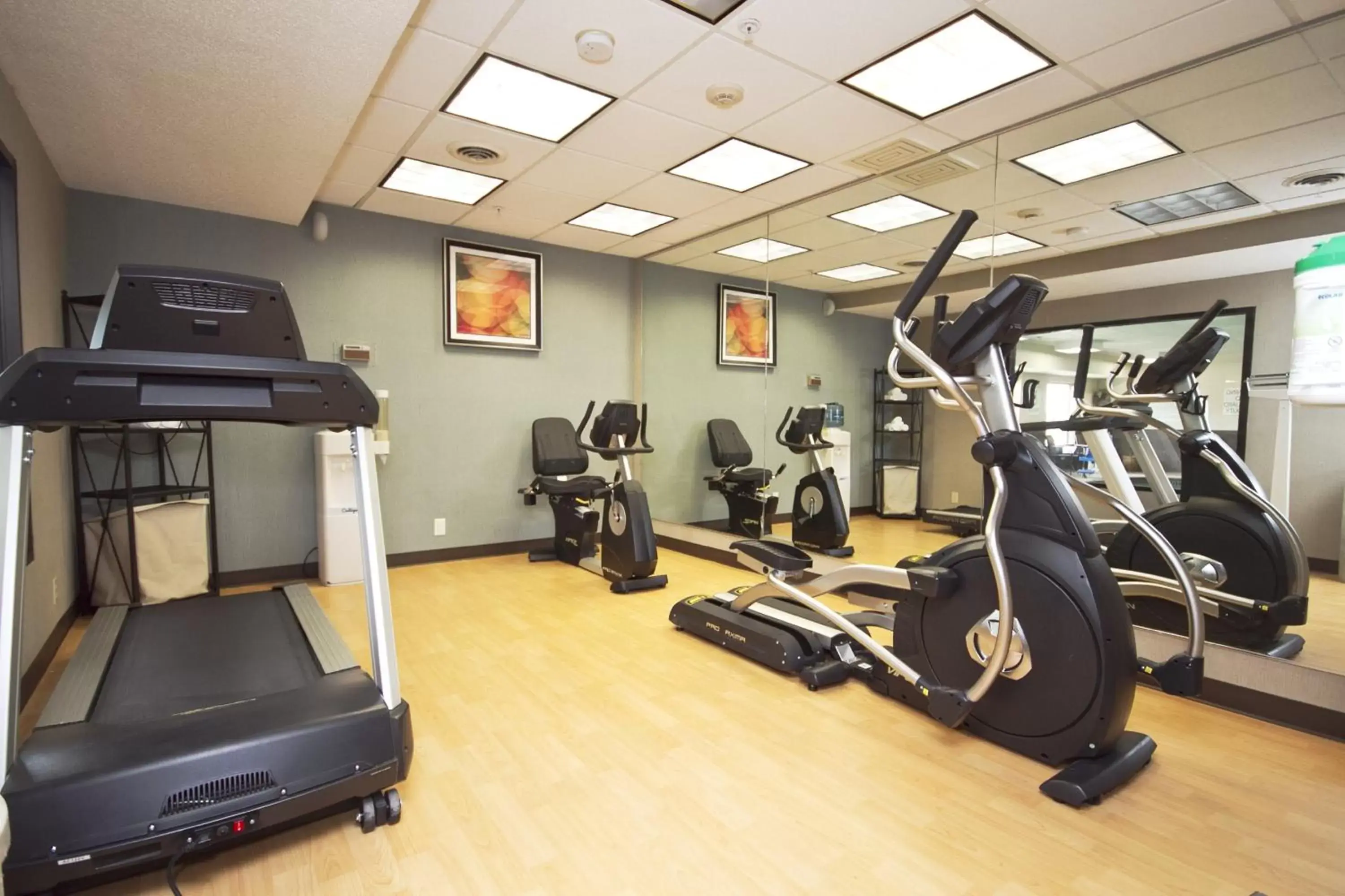 Spa and wellness centre/facilities, Fitness Center/Facilities in Holiday Inn Express Adrian, an IHG Hotel