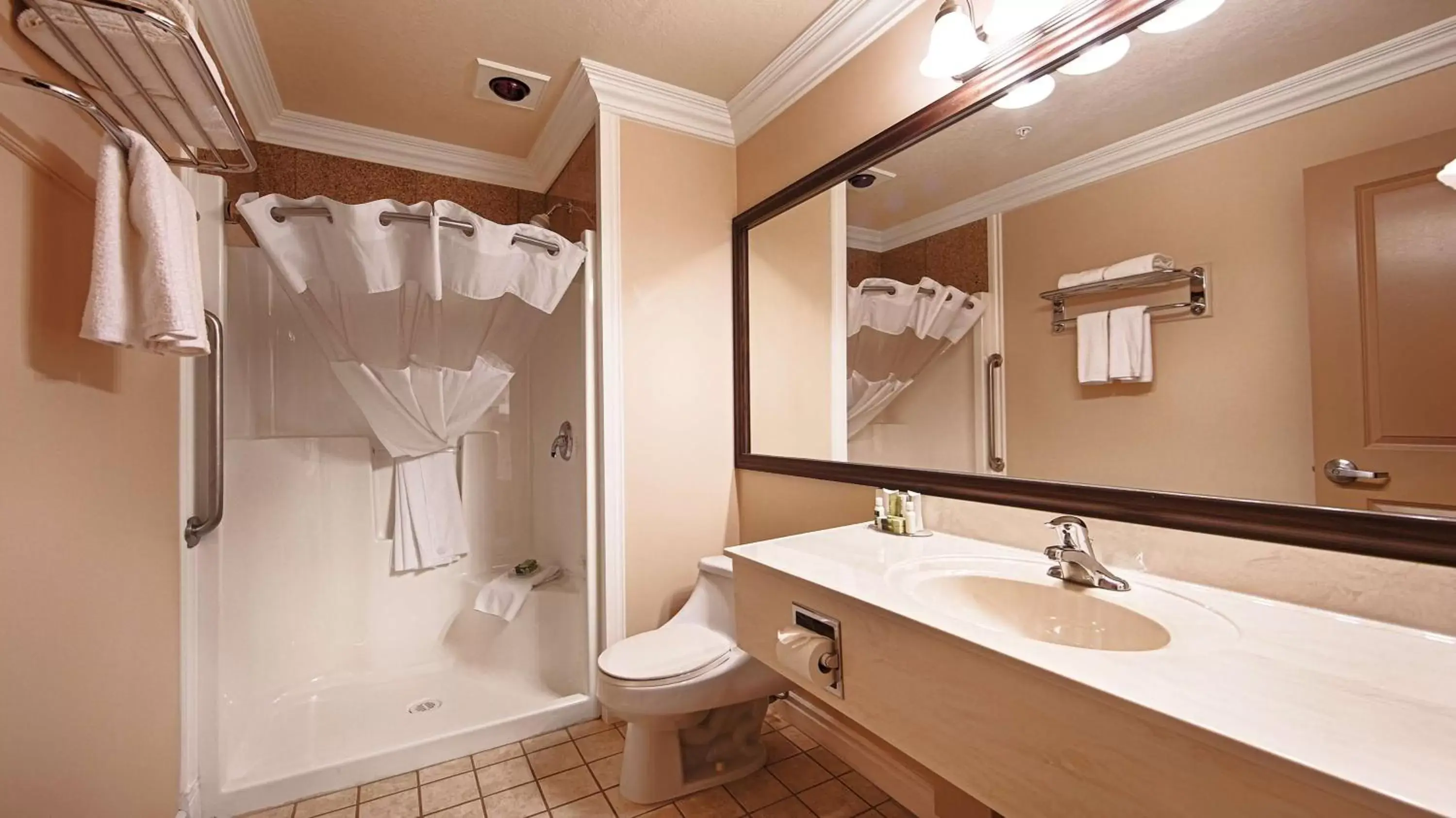 Bathroom in Best Western PLUS Mirage Hotel and Resort