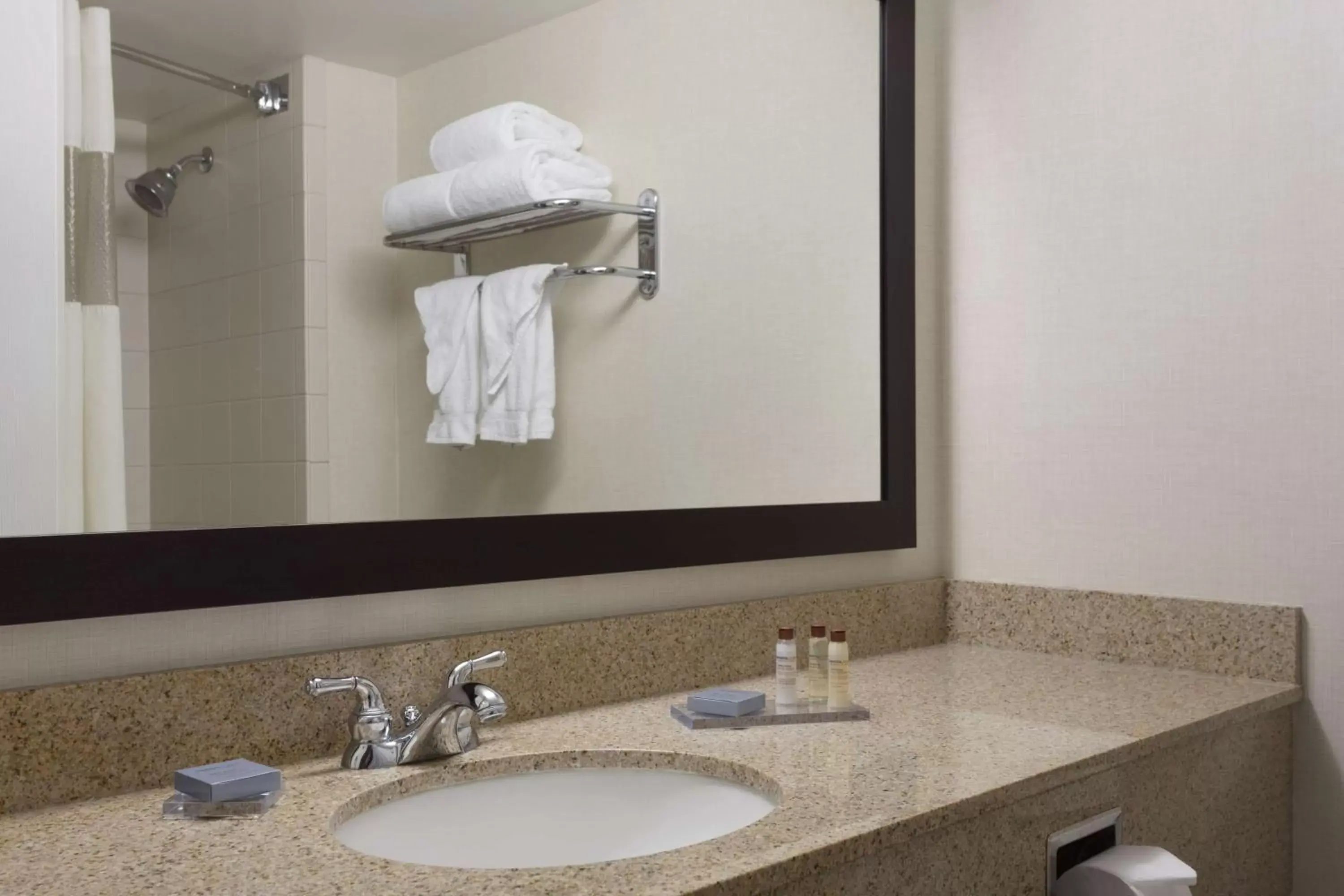 Bathroom in Wingate by Wyndham Sylvania-Toledo