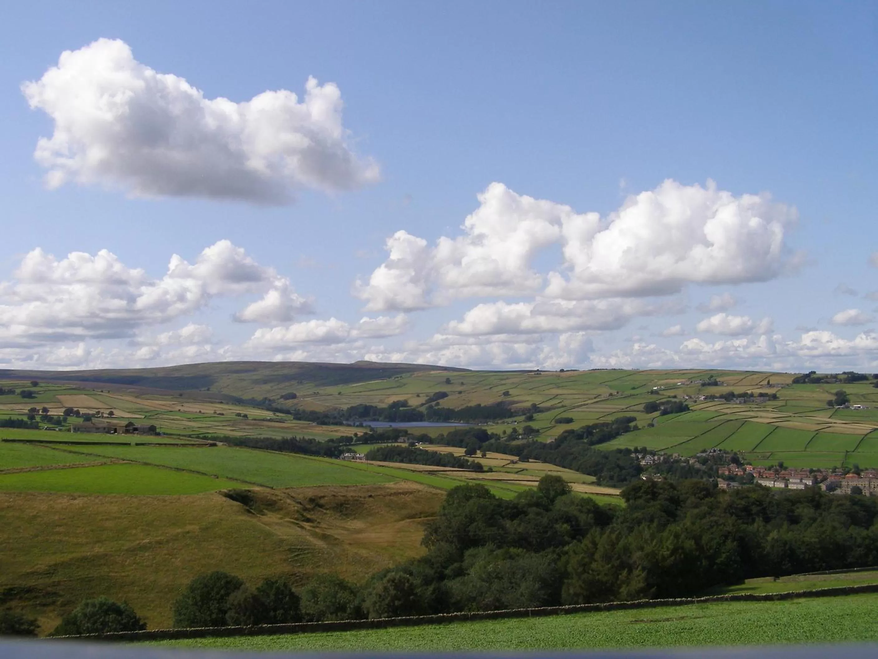 View (from property/room) in Coddy's Farm