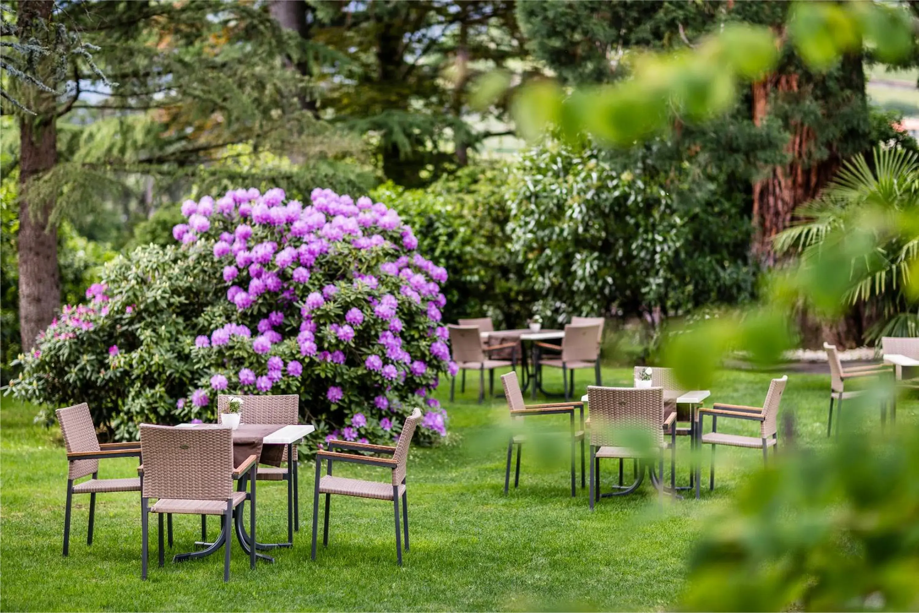Garden, Restaurant/Places to Eat in Hotel Sonnenhof