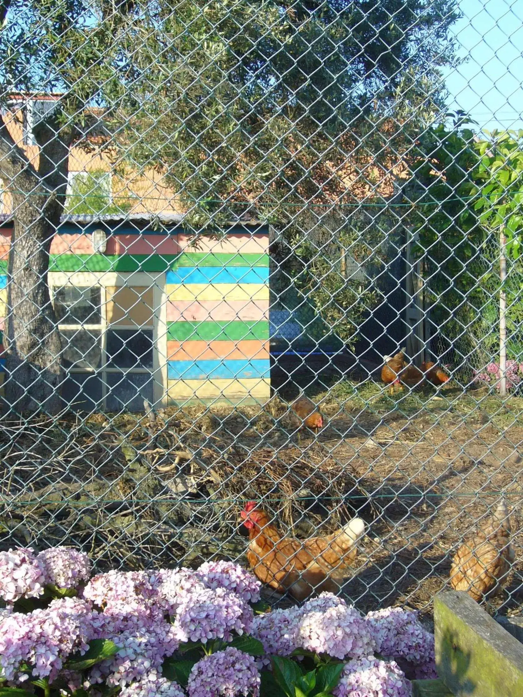 Pets in Casa 3 Águias