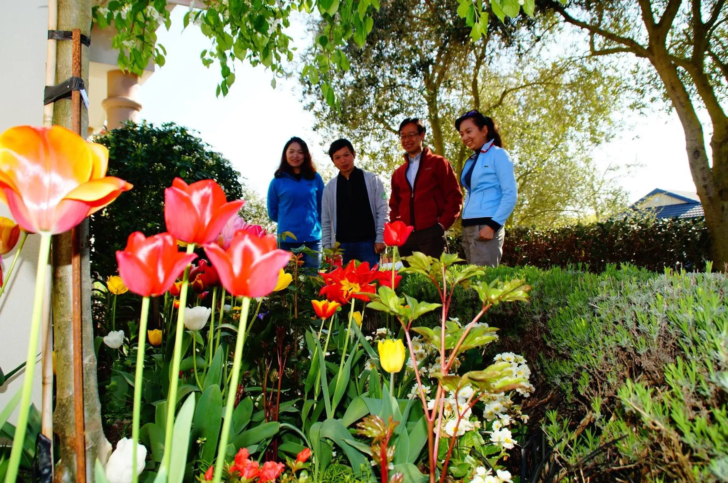 Olive House Bed and Breakfast Olive House Bed and Breakfast