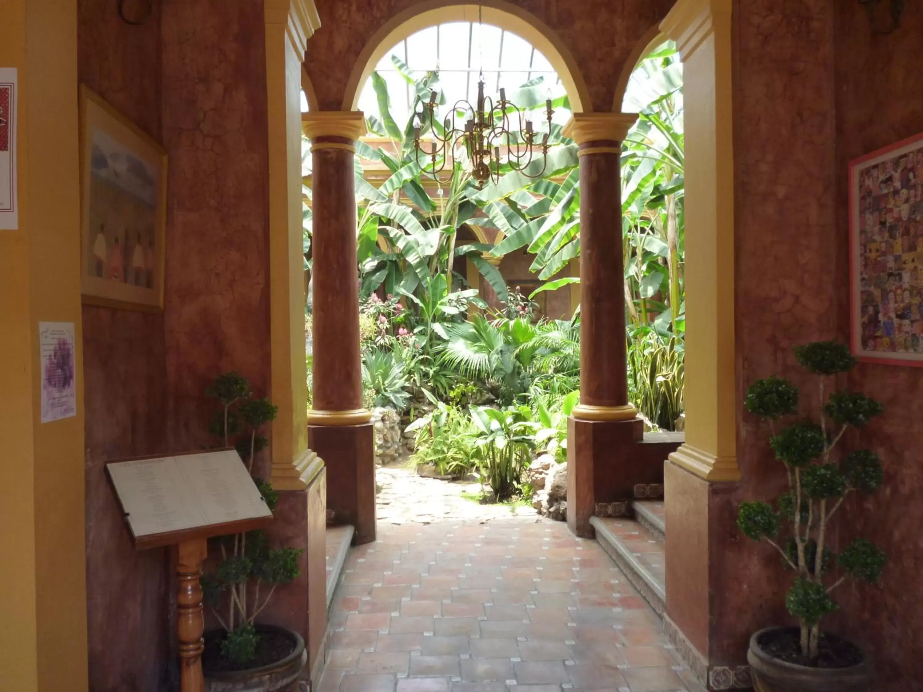 Garden in Hotel Casa Mexicana