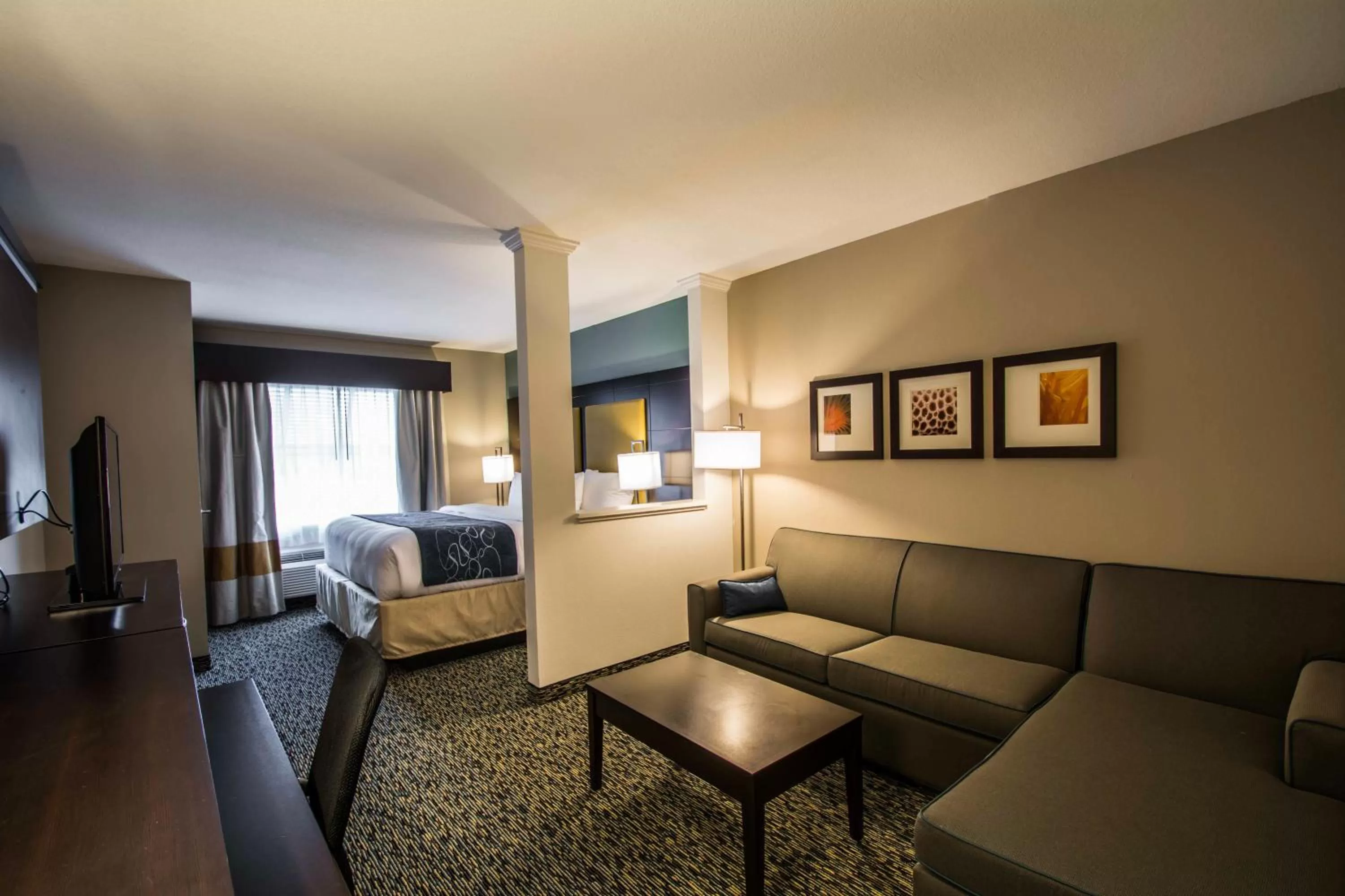 Photo of the whole room in Comfort Suites Fort Lauderdale Airport South & Cruise Port