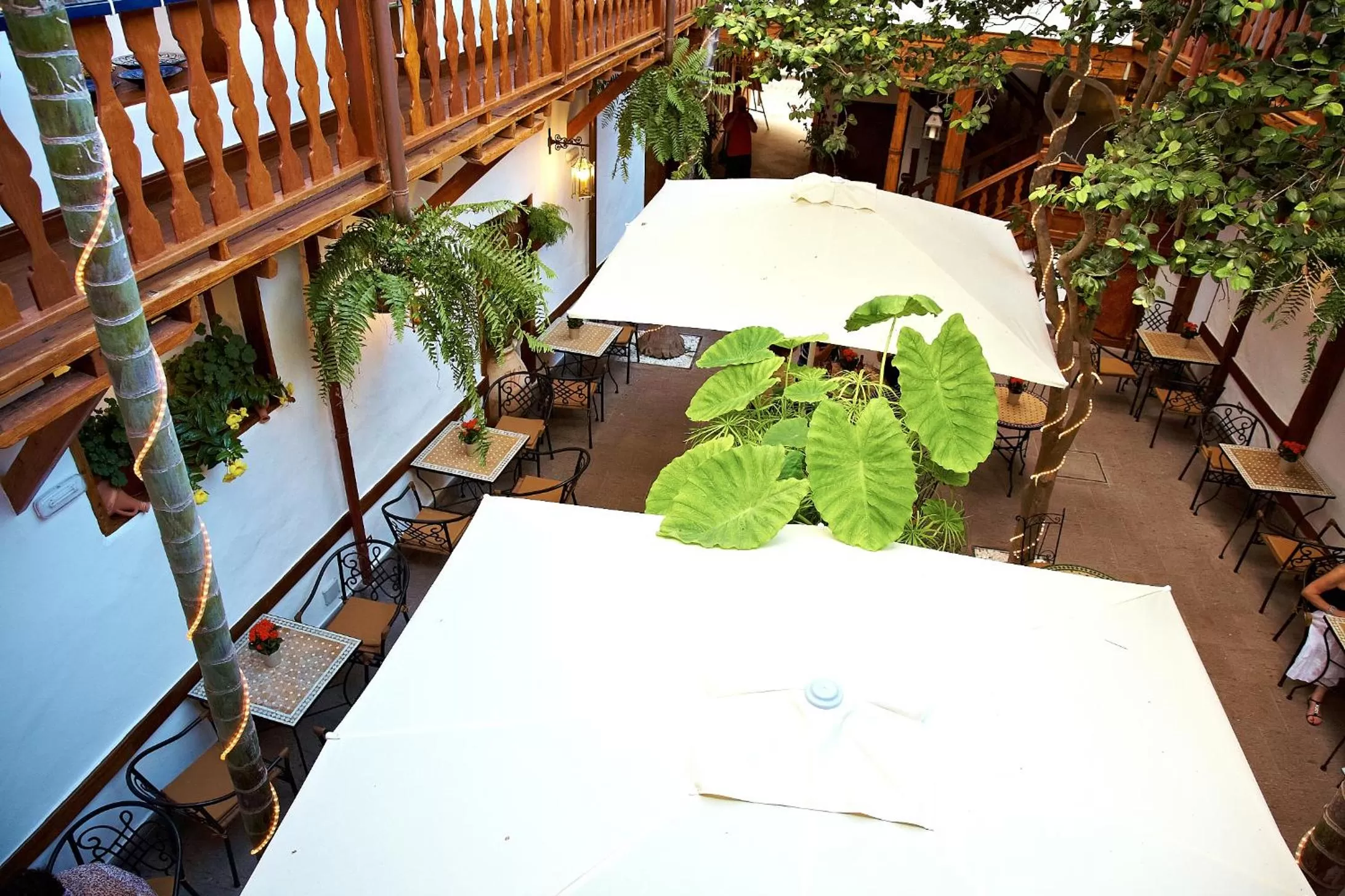 Restaurant/places to eat in Hotel Emblemático San Agustin