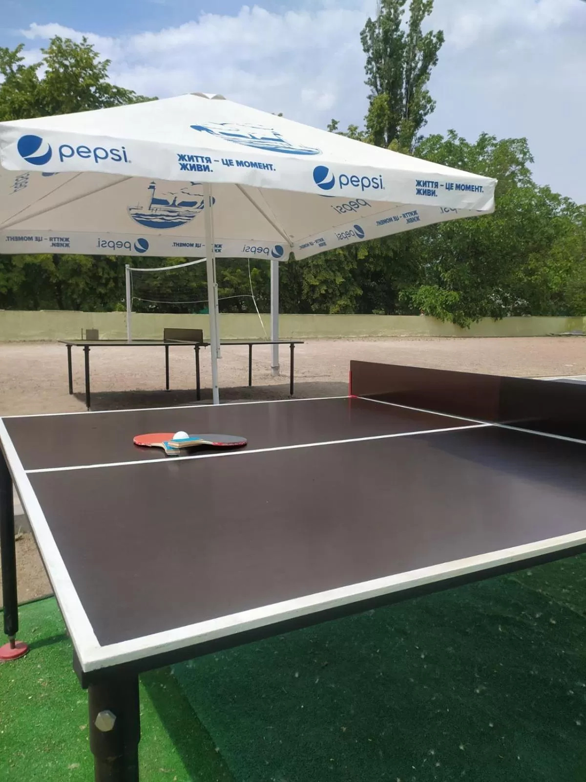 Activities in Zelenyi Kampus