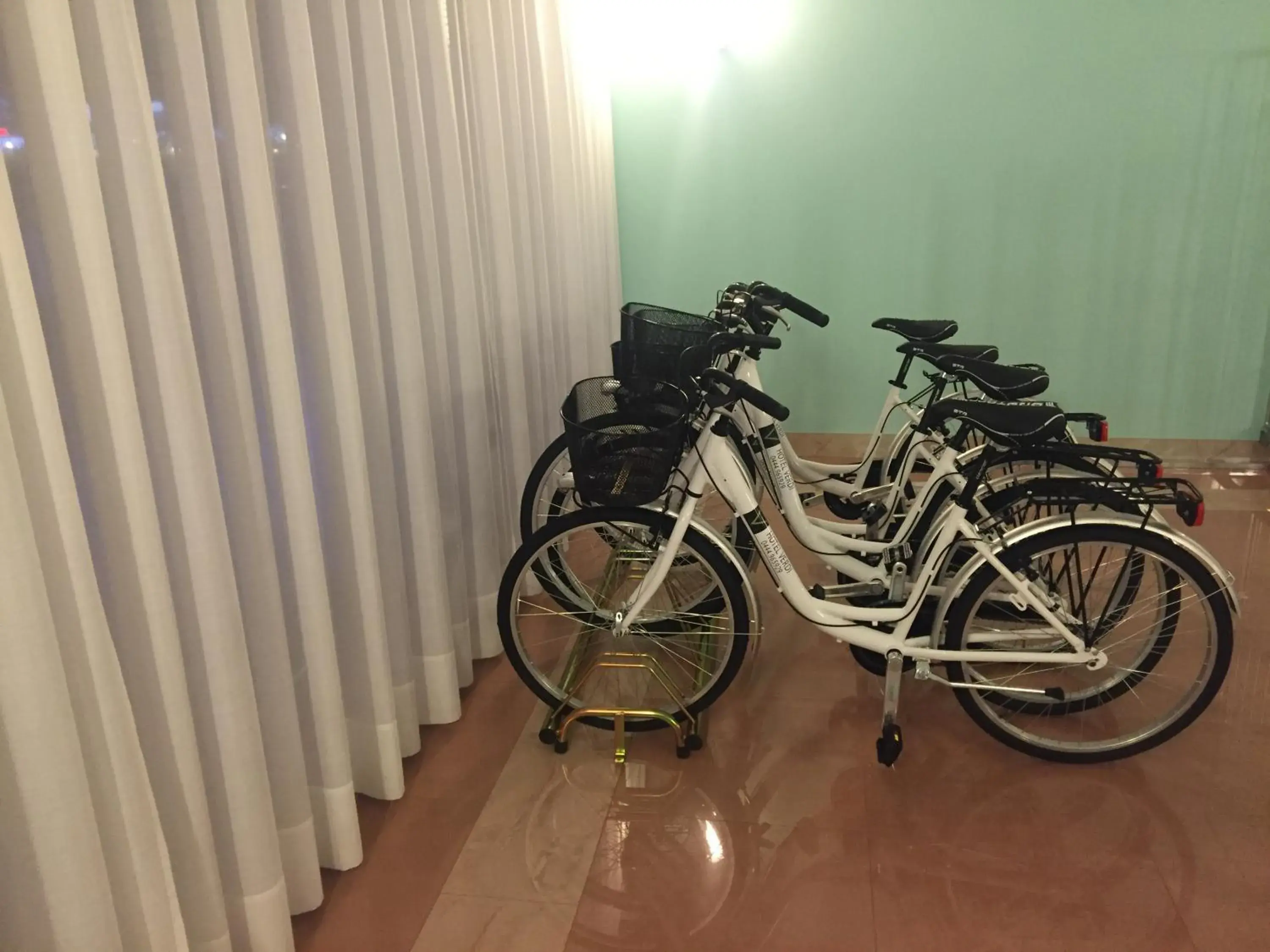 Cycling, Other Activities in Hotel Verdi