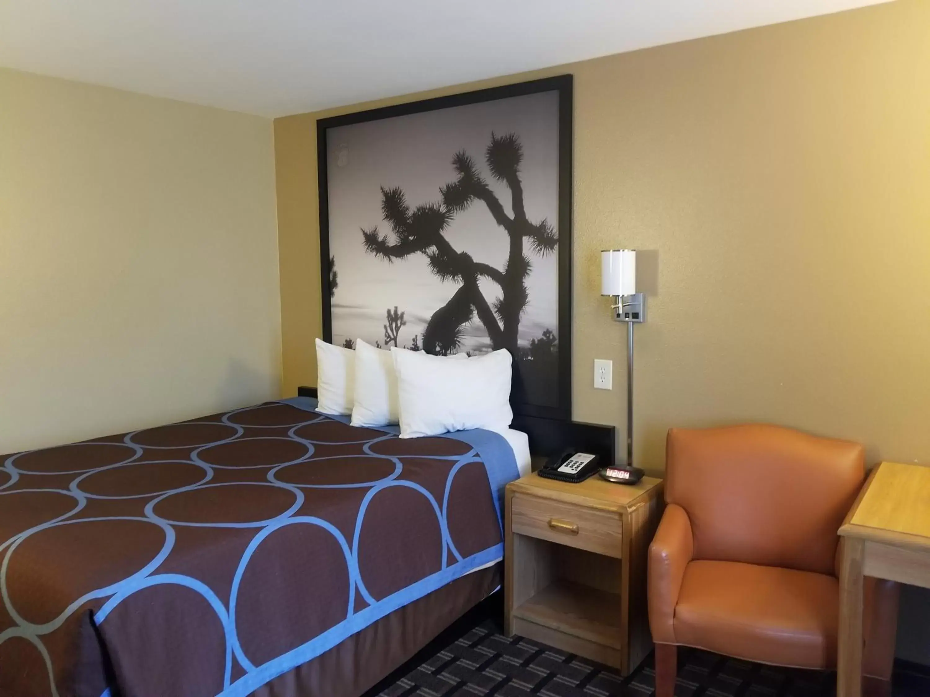 Day, Bed in Super 8 by Wyndham Carson City