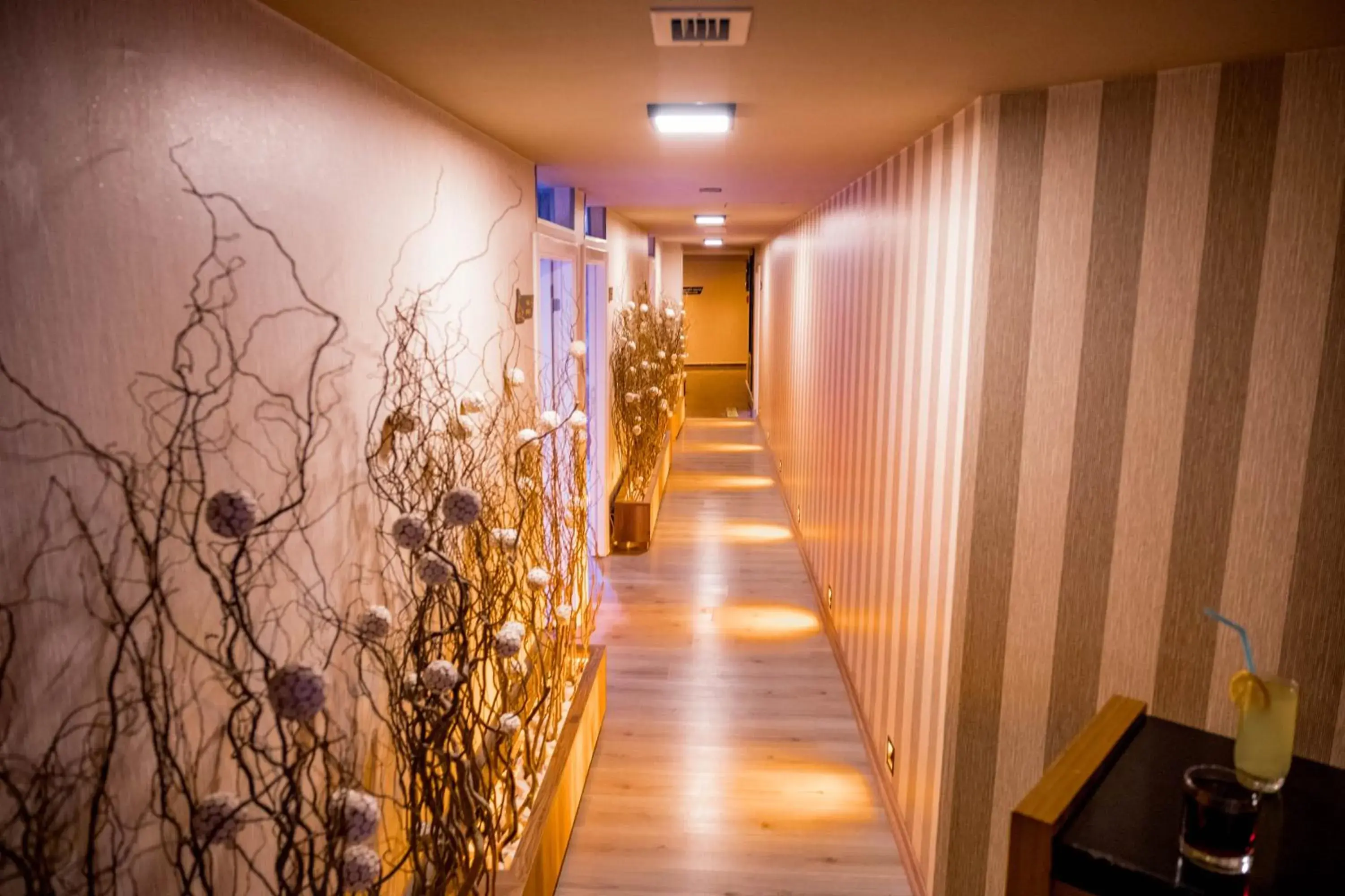 Spa and wellness centre/facilities in Selcuk Hotel Sems-i Tebrizi
