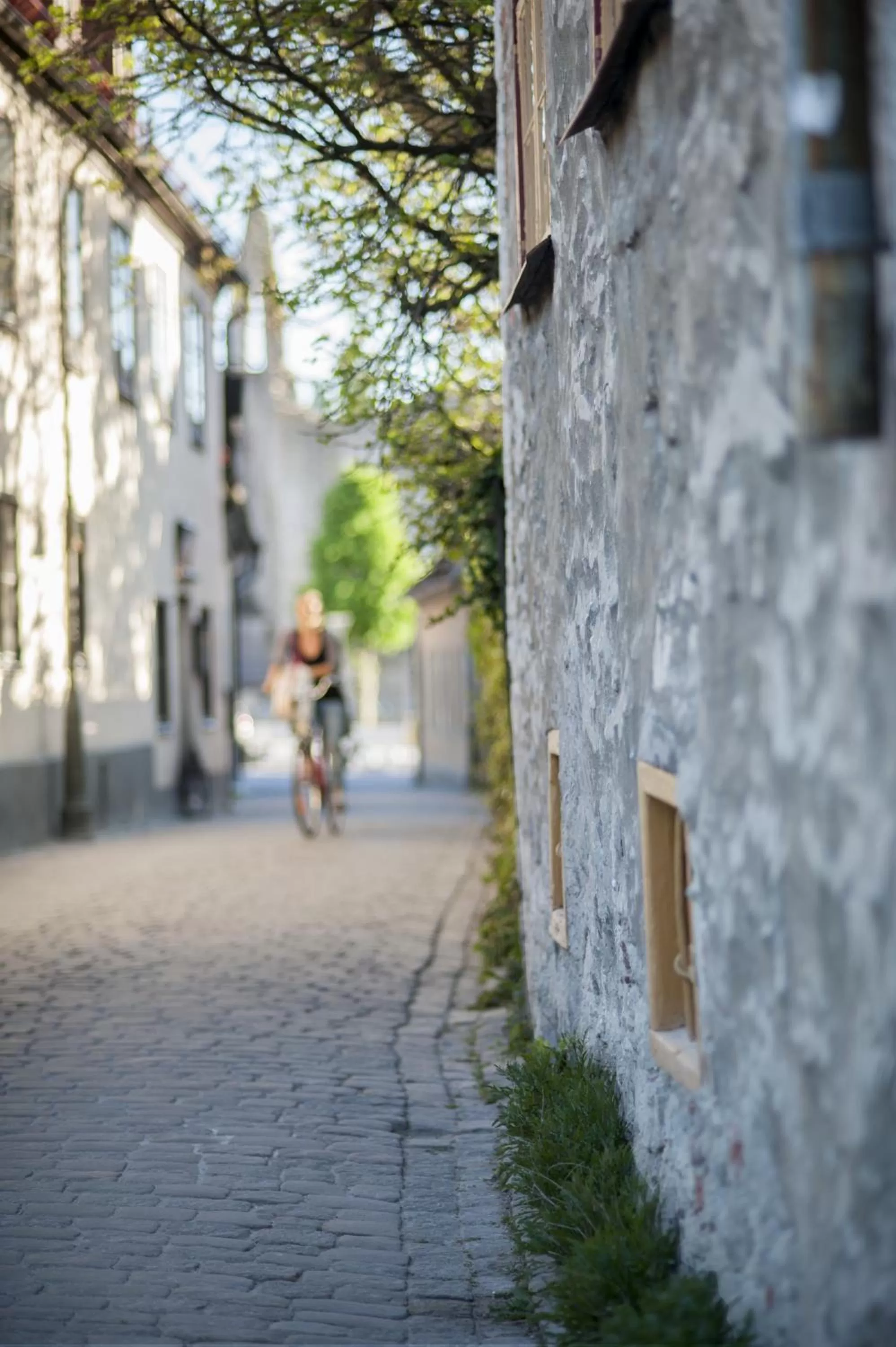 Area and facilities in Hotell Repet