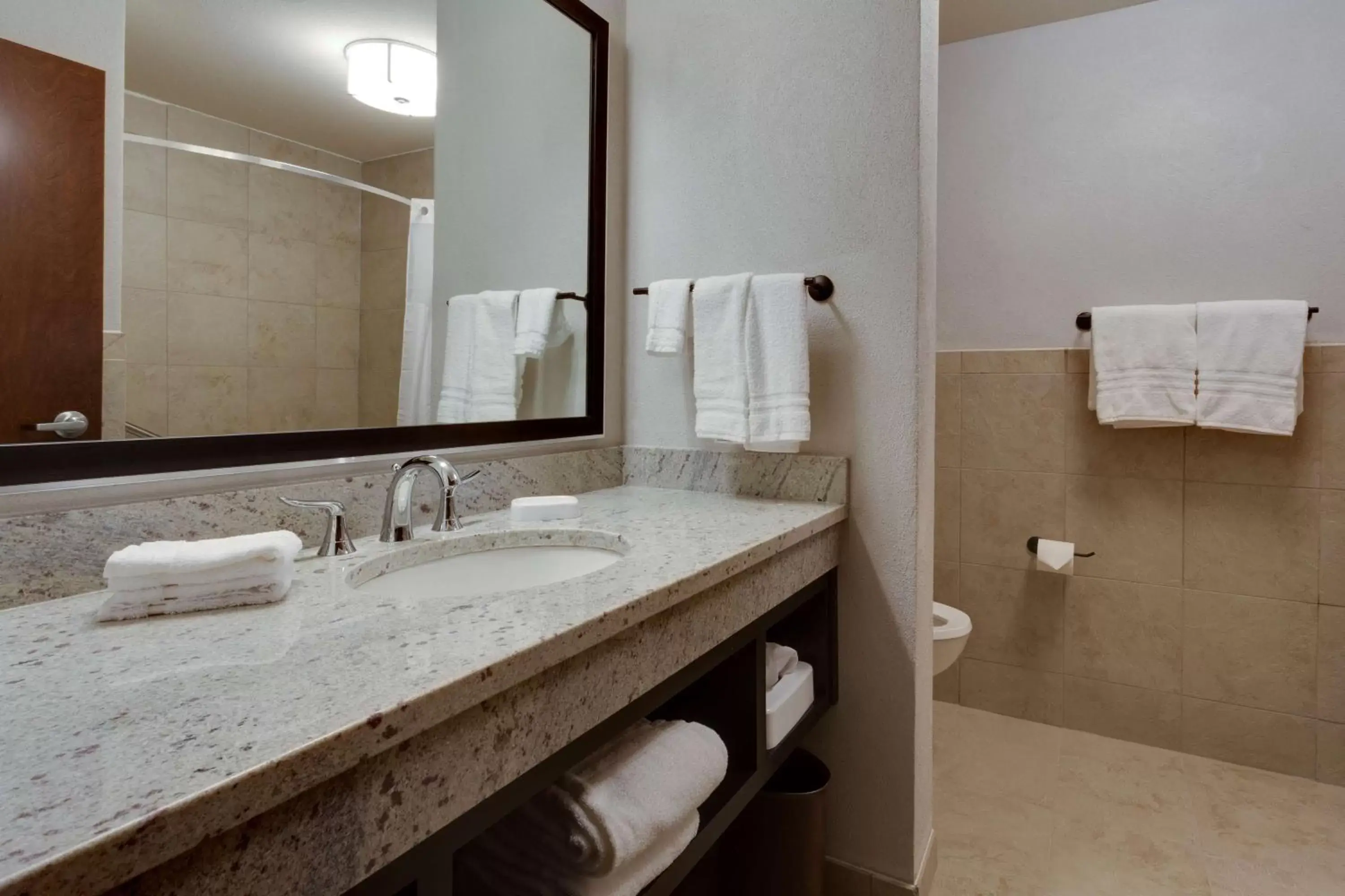 Bathroom in Drury Plaza Hotel Cape Girardeau Conference Center
