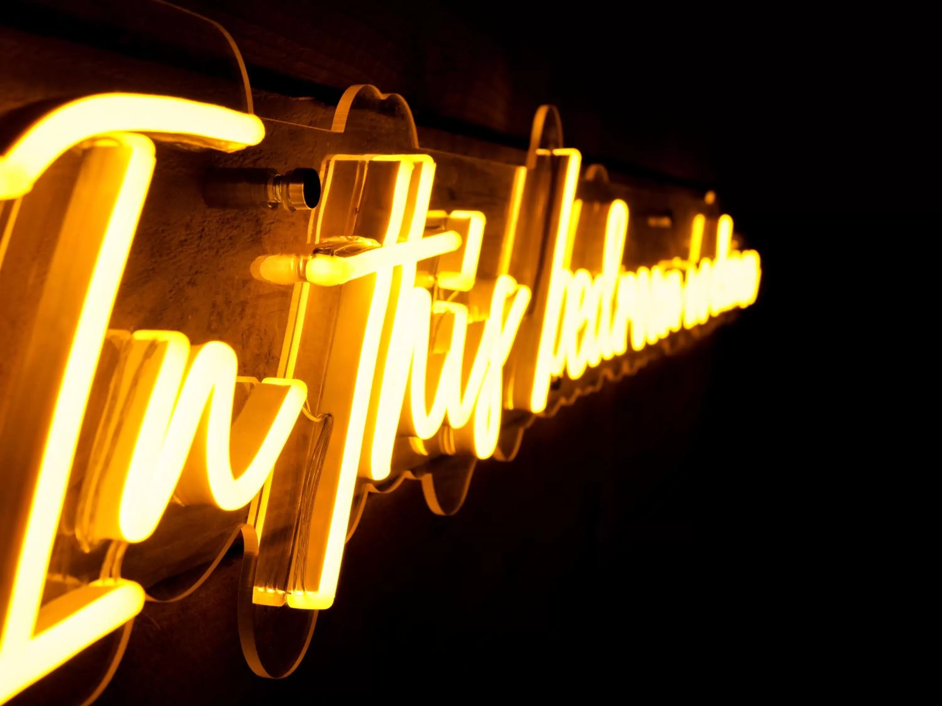 Property logo or sign in The Lazy Pug