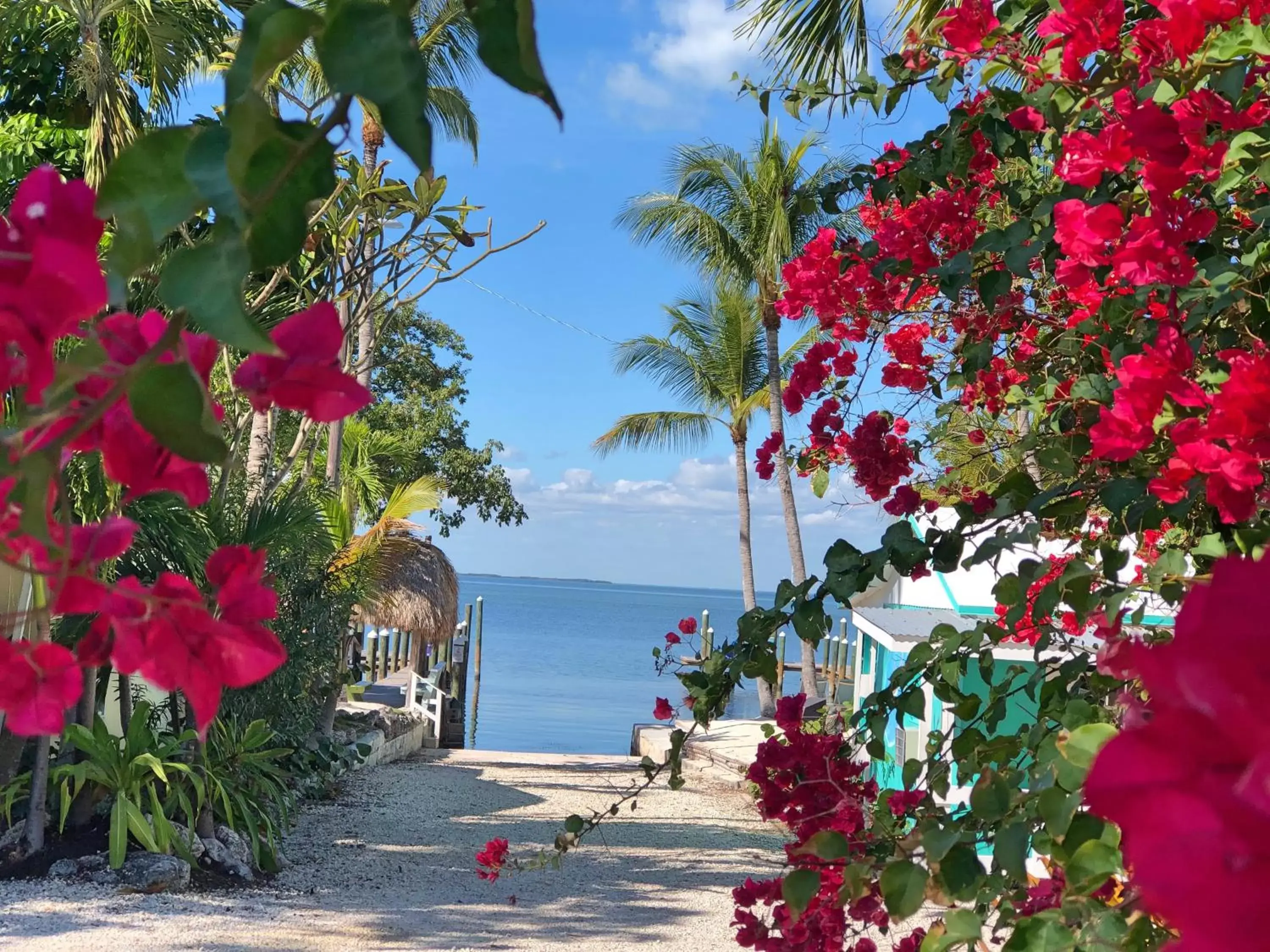 Natural landscape in The Pelican Key Largo Cottages