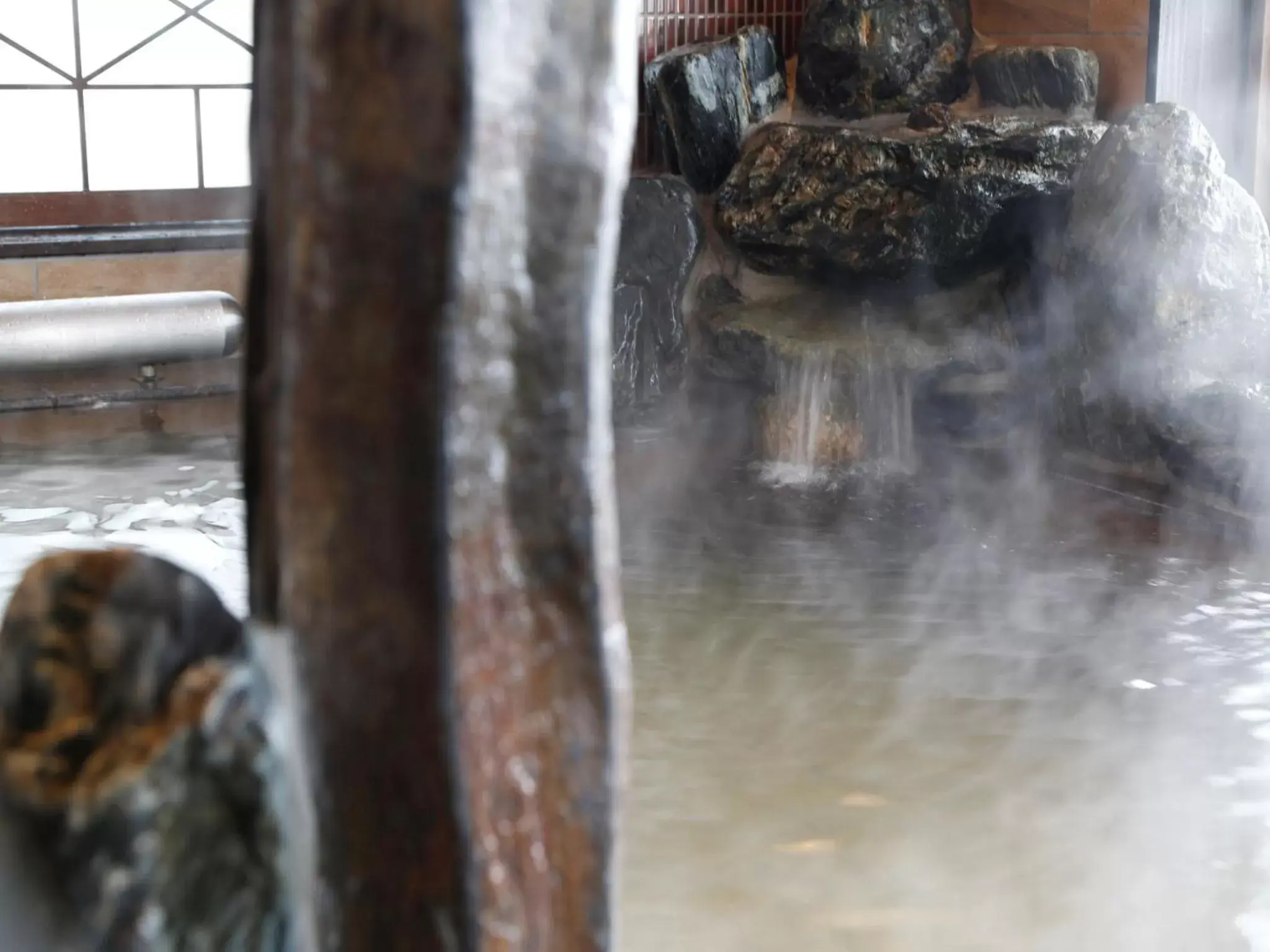 Hot Spring Bath, Other Animals in Dormy Inn Hon-Hachinohe