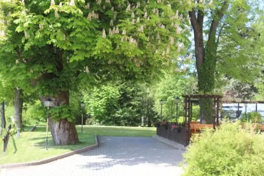 Natural landscape in Hotel Heilbrunnen