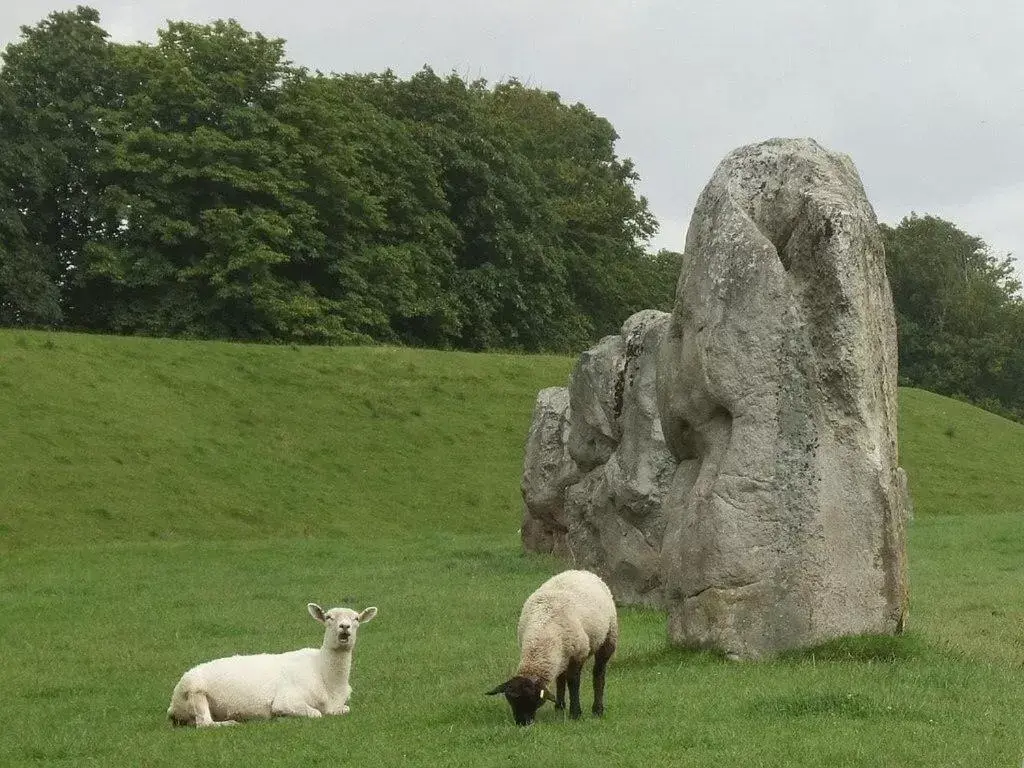 Nearby landmark, Other Animals in B&B Dorwyn Manor