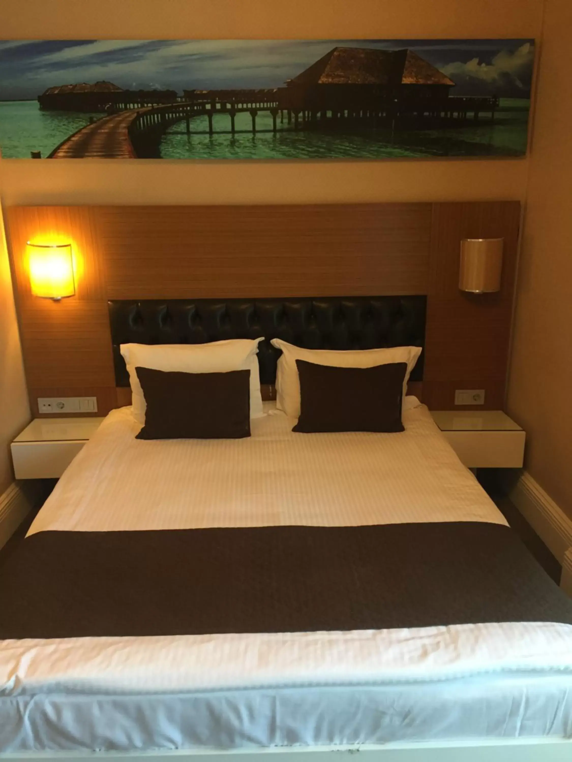 Large Single Room in City Hotel Plovdiv Large Single Room in City Hotel Plovdiv