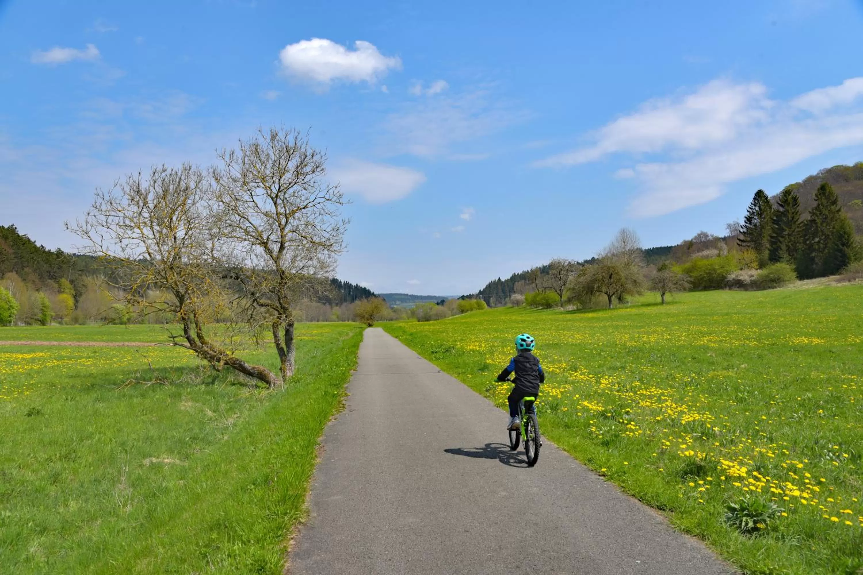 Area and facilities in Landhotel Der Distelhof mit Scheunencafé